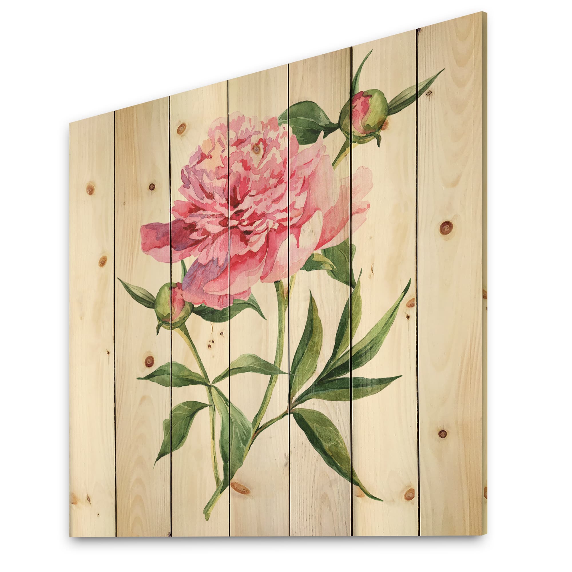 Designart - Vintage Pink Peonies - Traditional Print on Natural Pine Wood