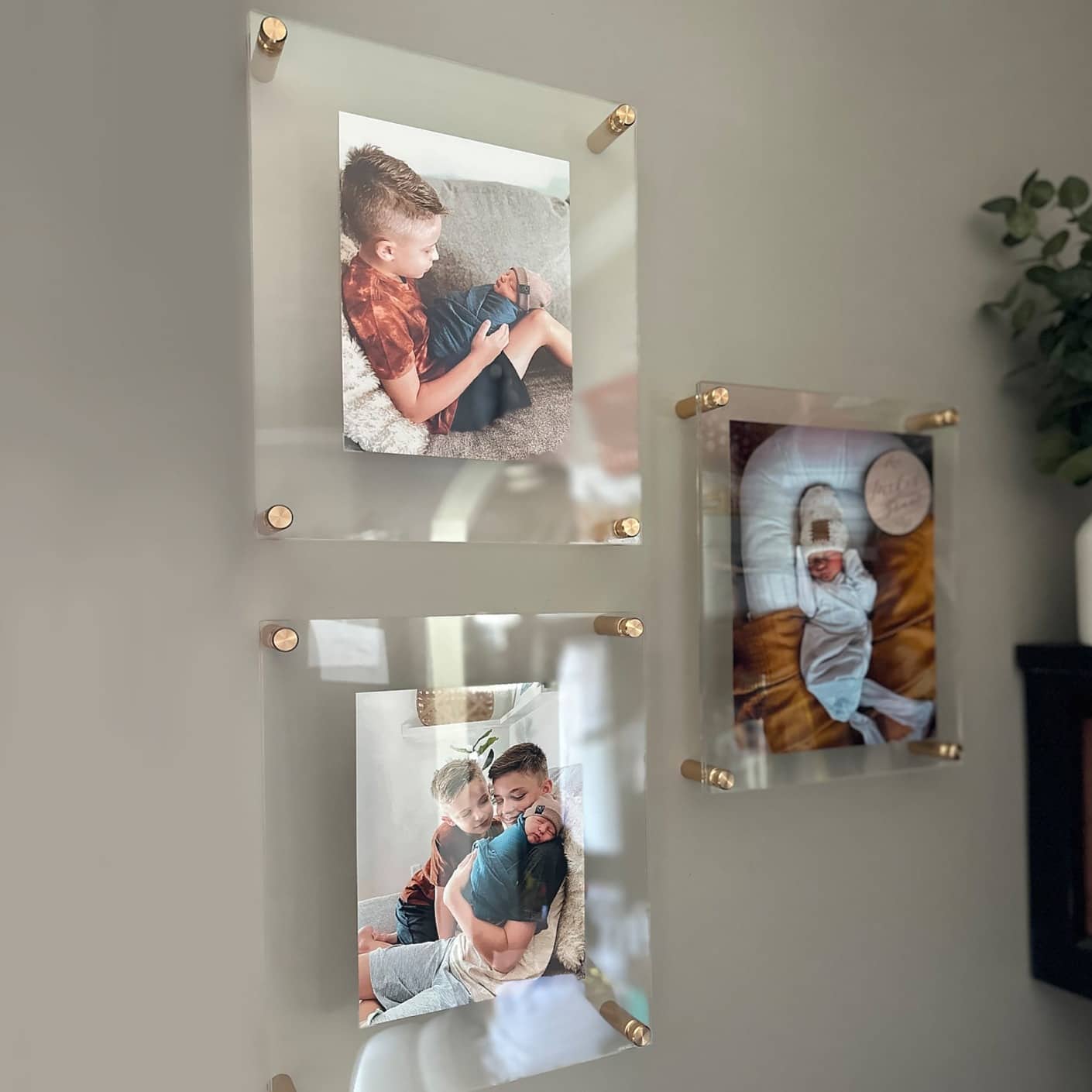Wexel Art Double Panel Clear Acrylic Floating Wall Frame with Gold Hardware