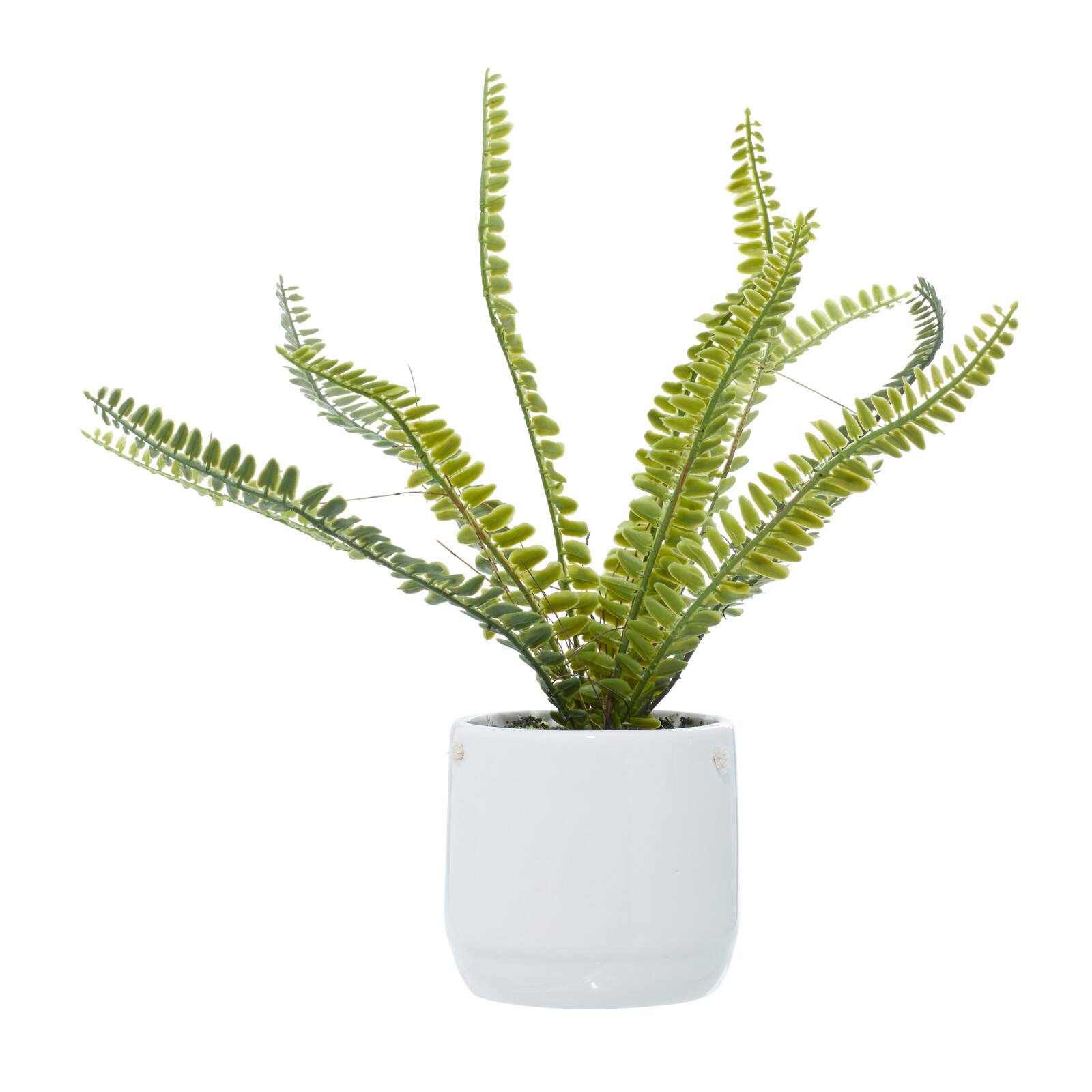 White Ceramic Contemporary Artificial Foliage, 14" x 12" x 13"