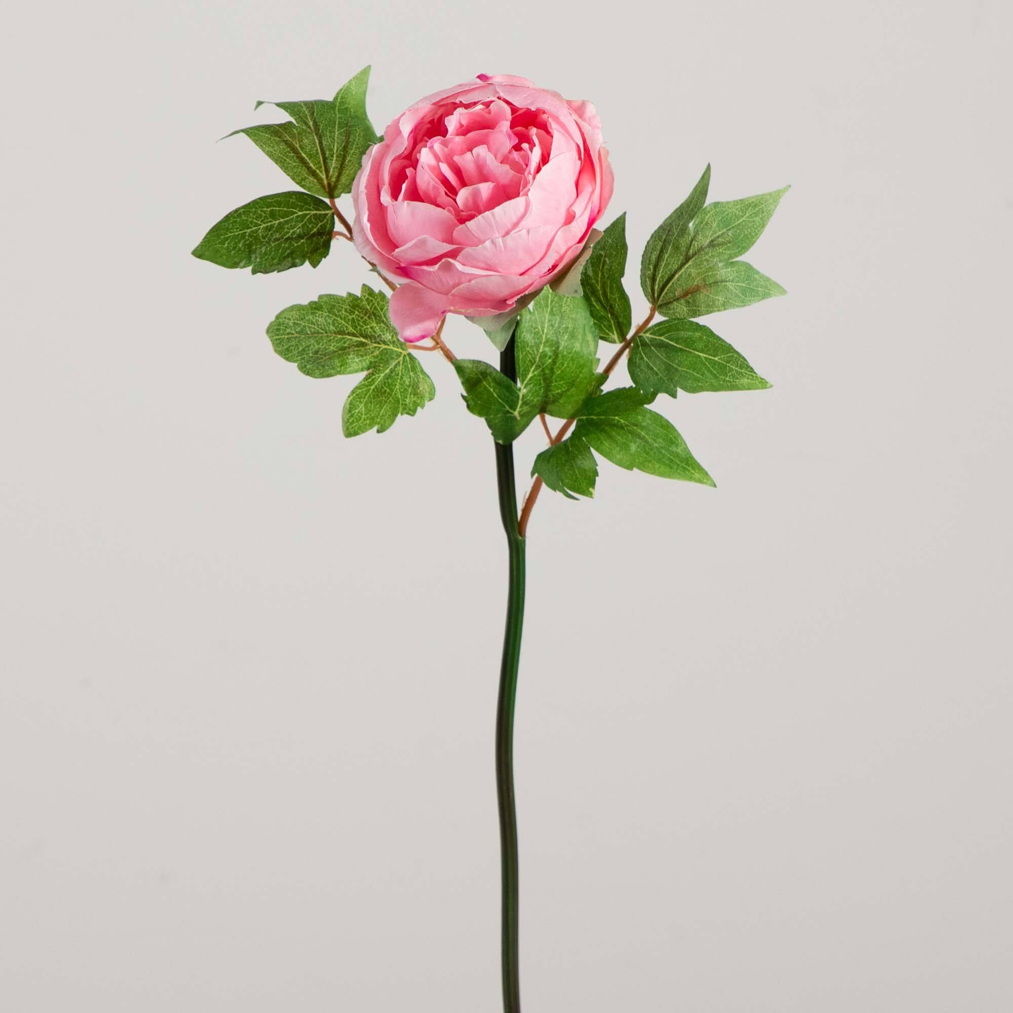 20&#x22; Pink Peony Flower Stems, 3ct.