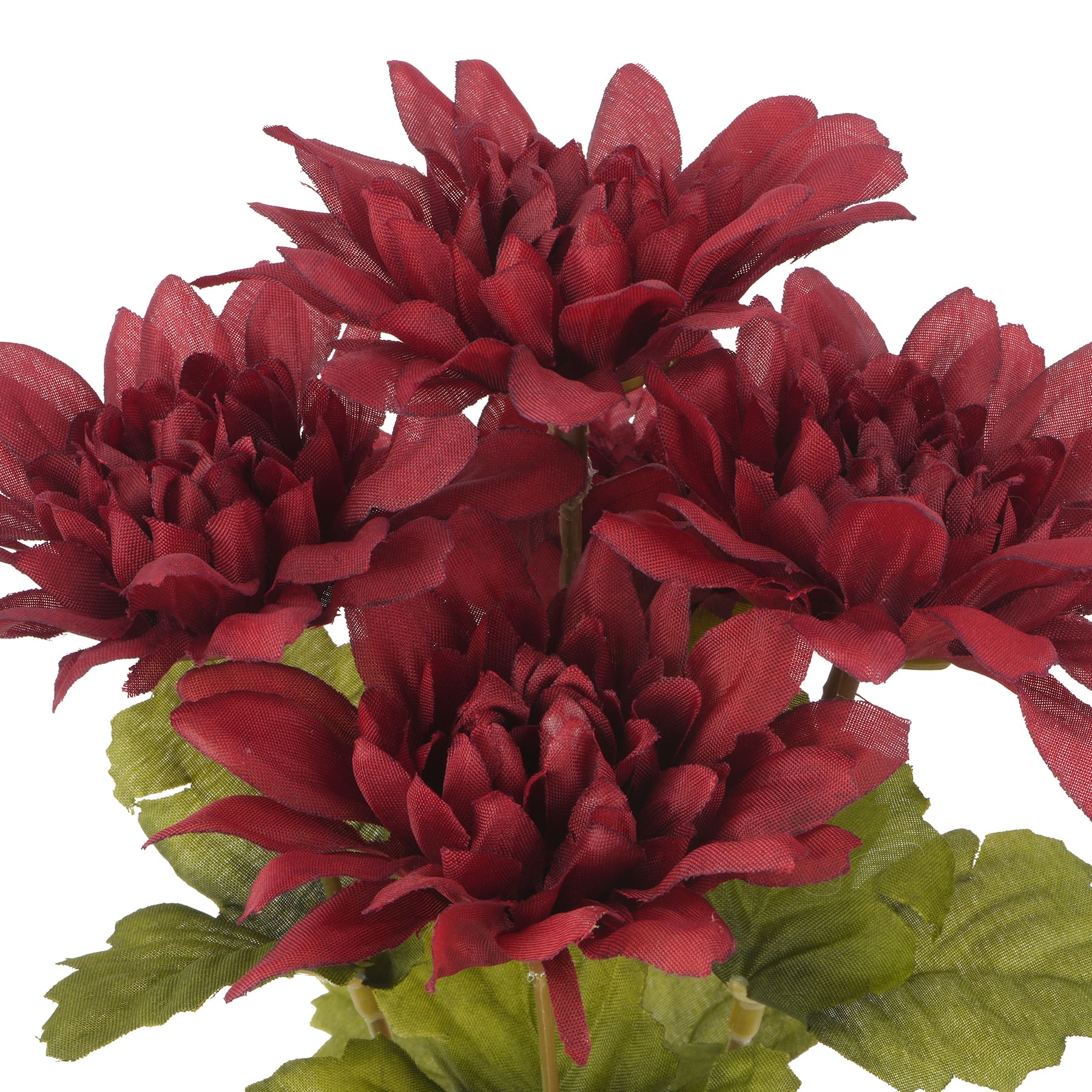 12&#x22; Dahlia Bush by Ashland&#xAE;