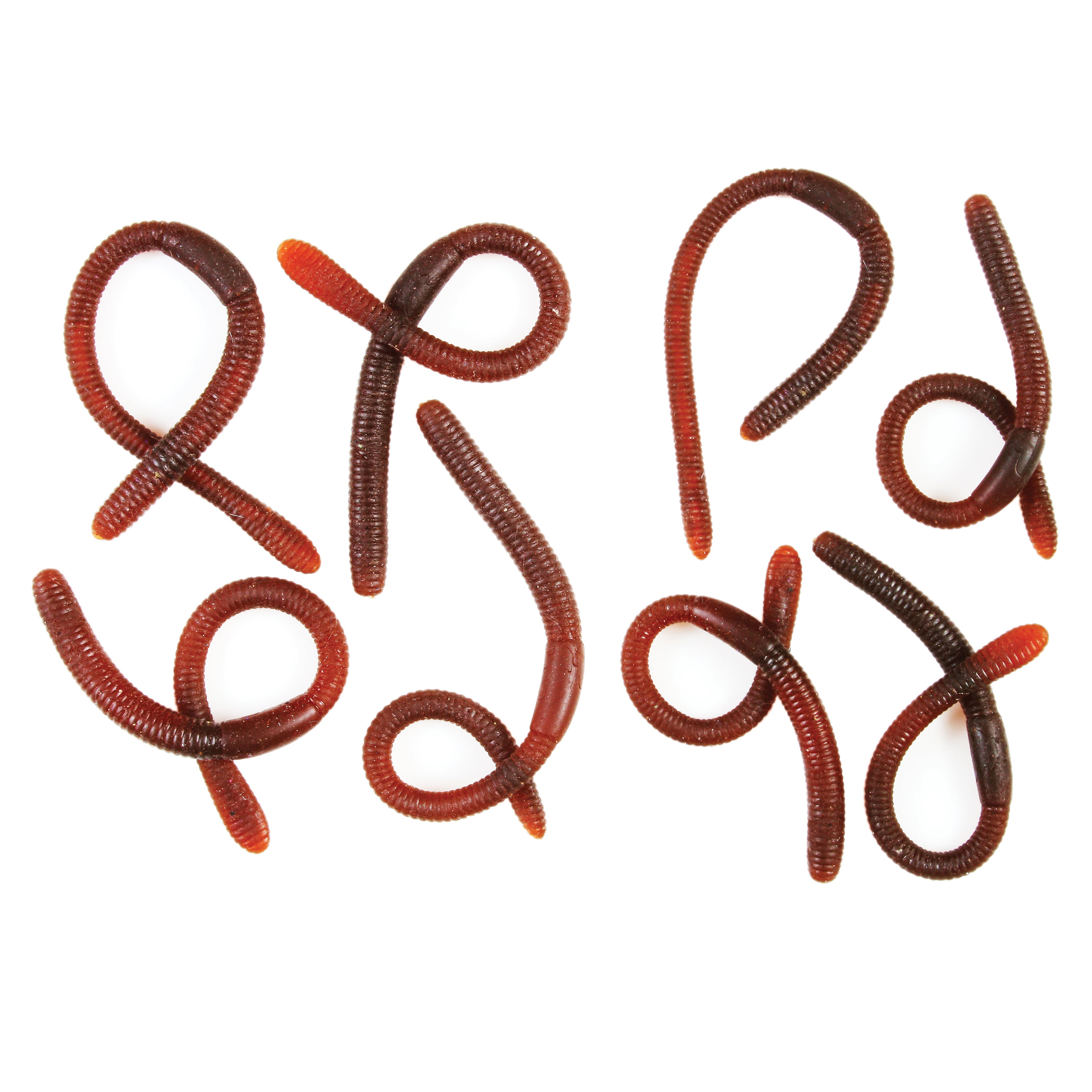 Assorted Bag of Bugs by Ashland&#xAE;, 1pc.