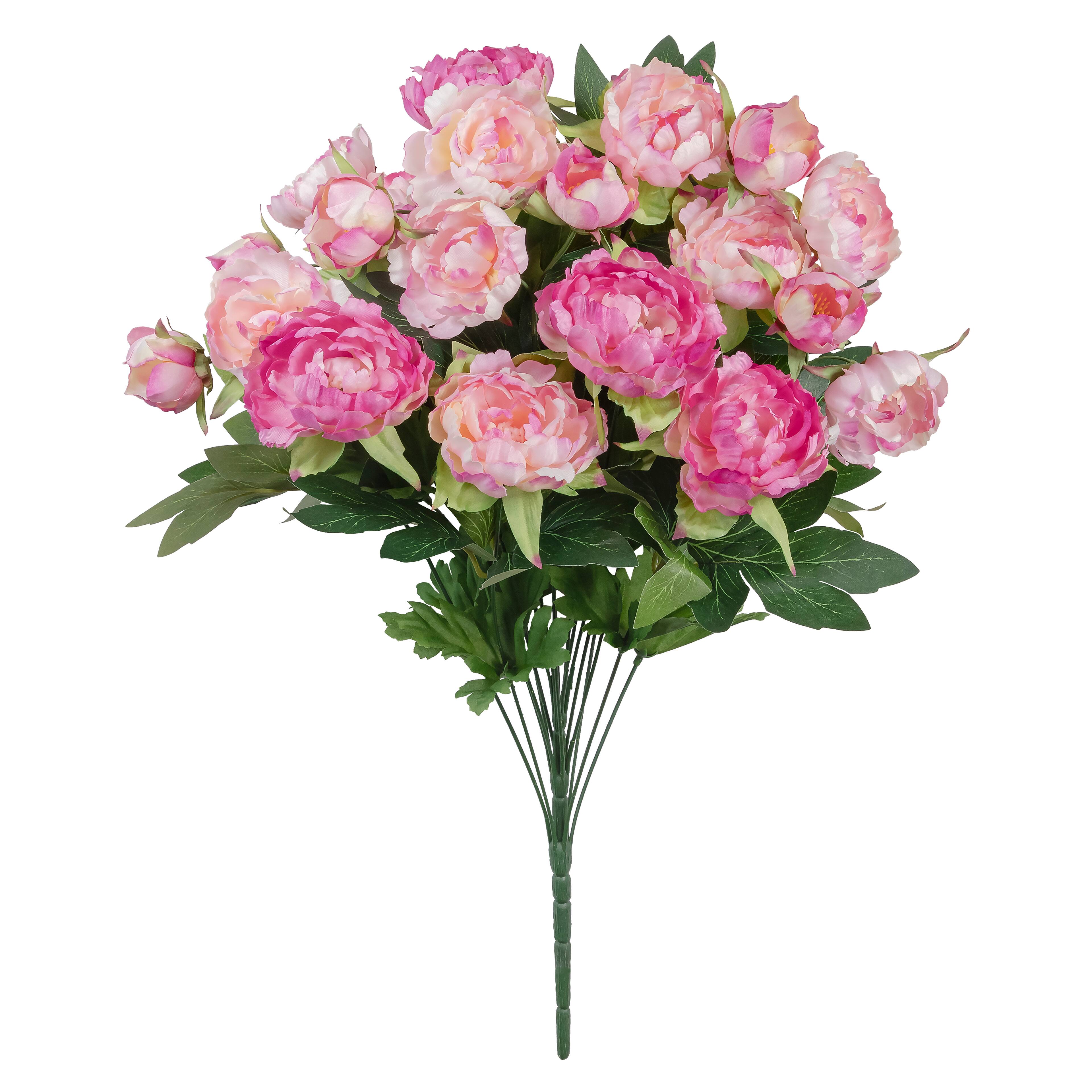 Hot Pink Peony Bush by Ashland®