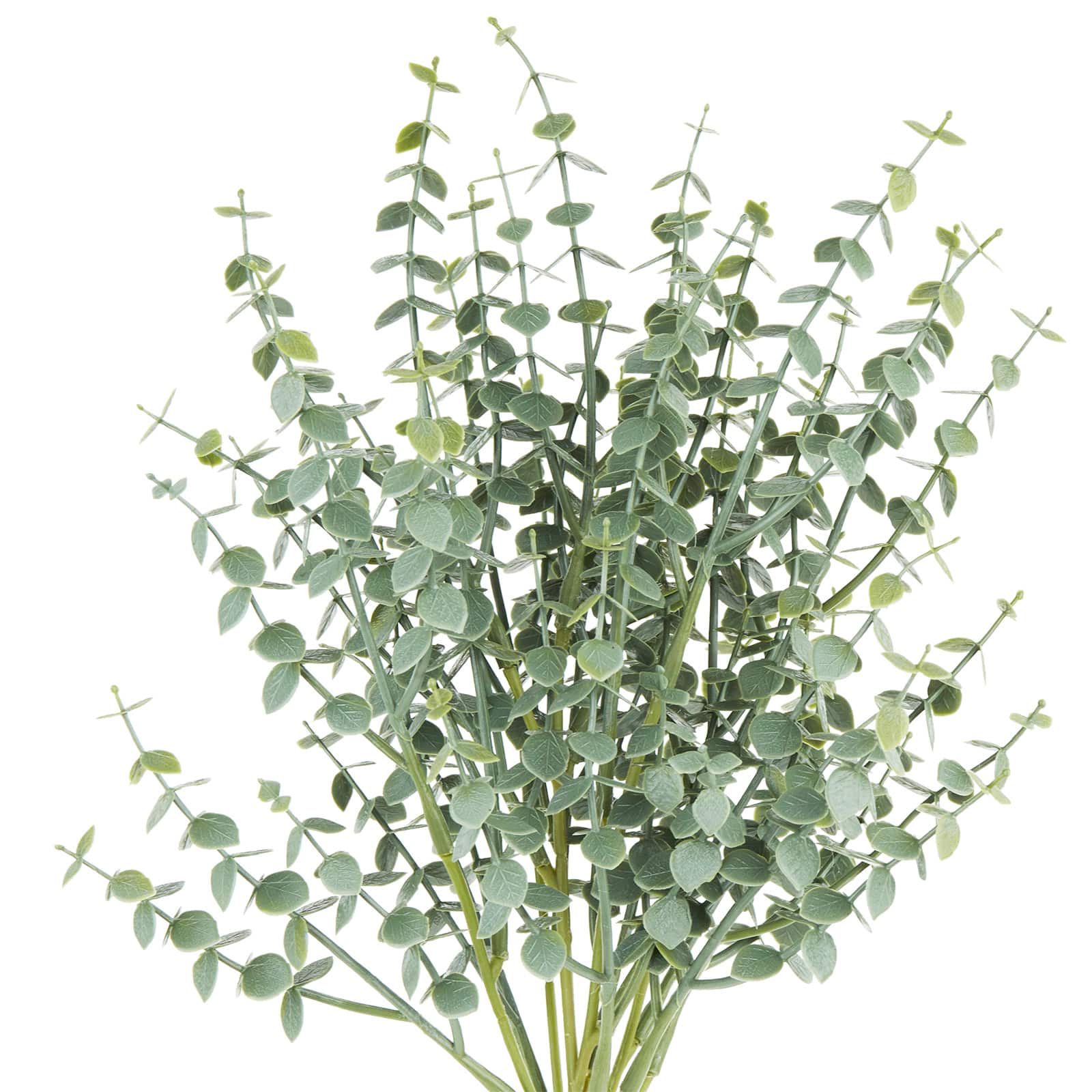 Eucalyptus Bush by Ashland®