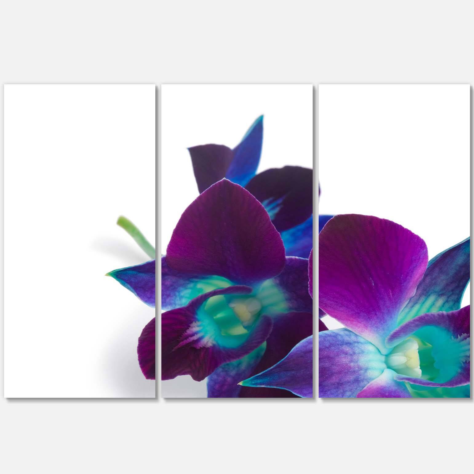 Designart - Deep Purple Orchid Flowers on White