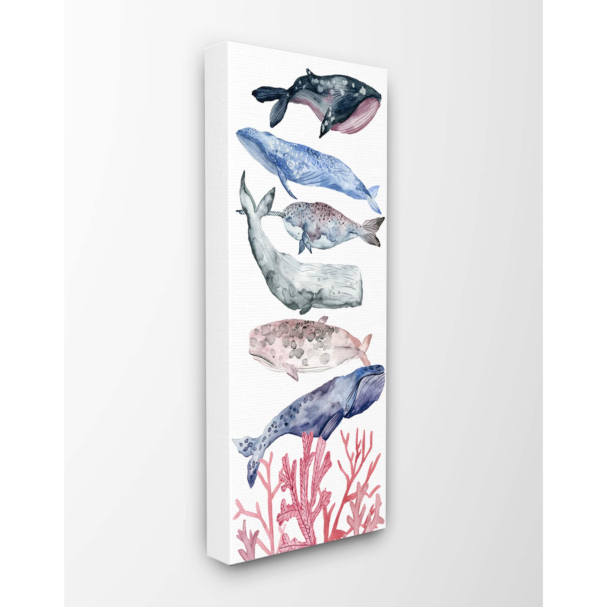Stupell Industries Whale Wildlife Ocean Coral Watercolor Illustrations Canvas Wall Art