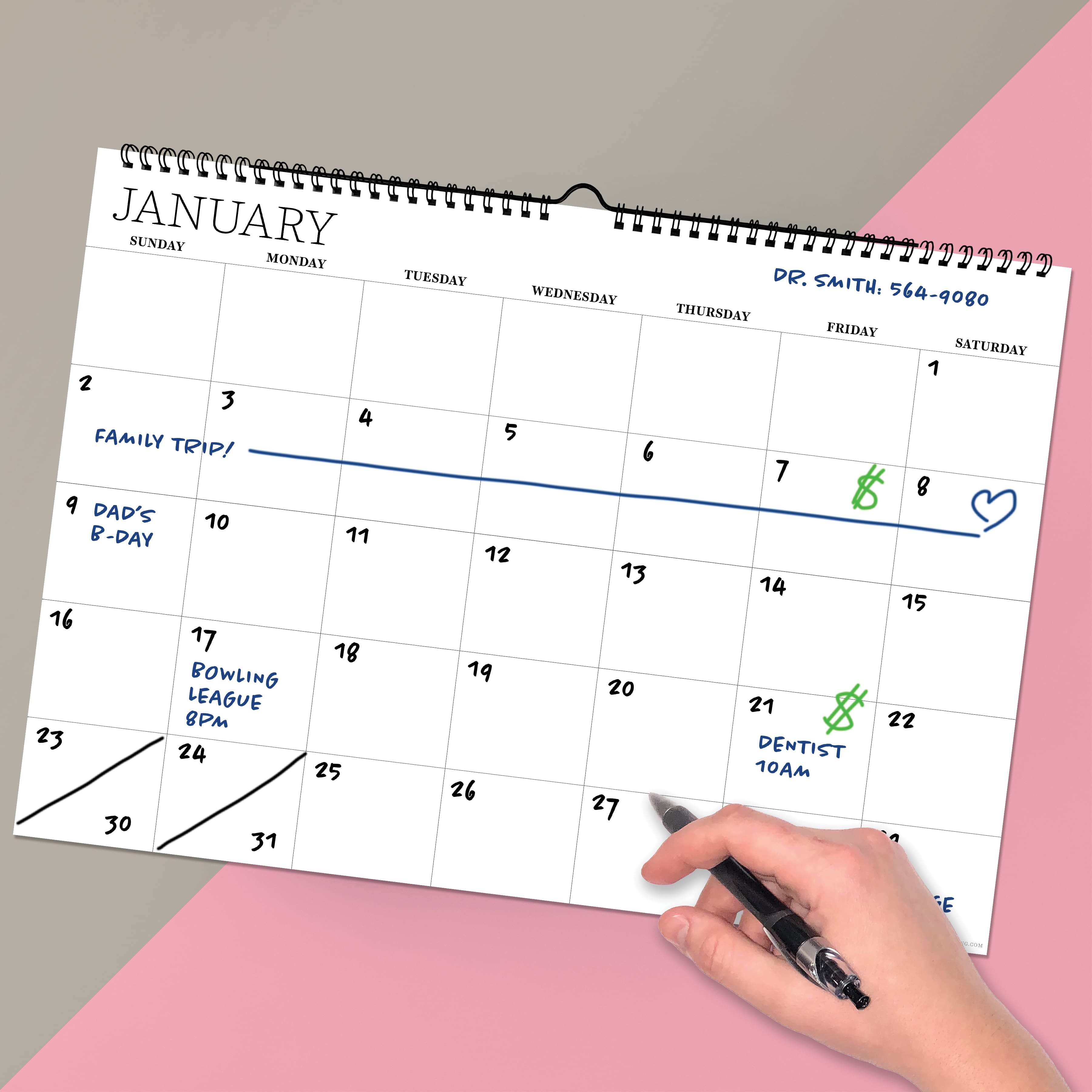 TF Publishing Medium Dry Erase Wired Hanging Horizontal Wall Calendar