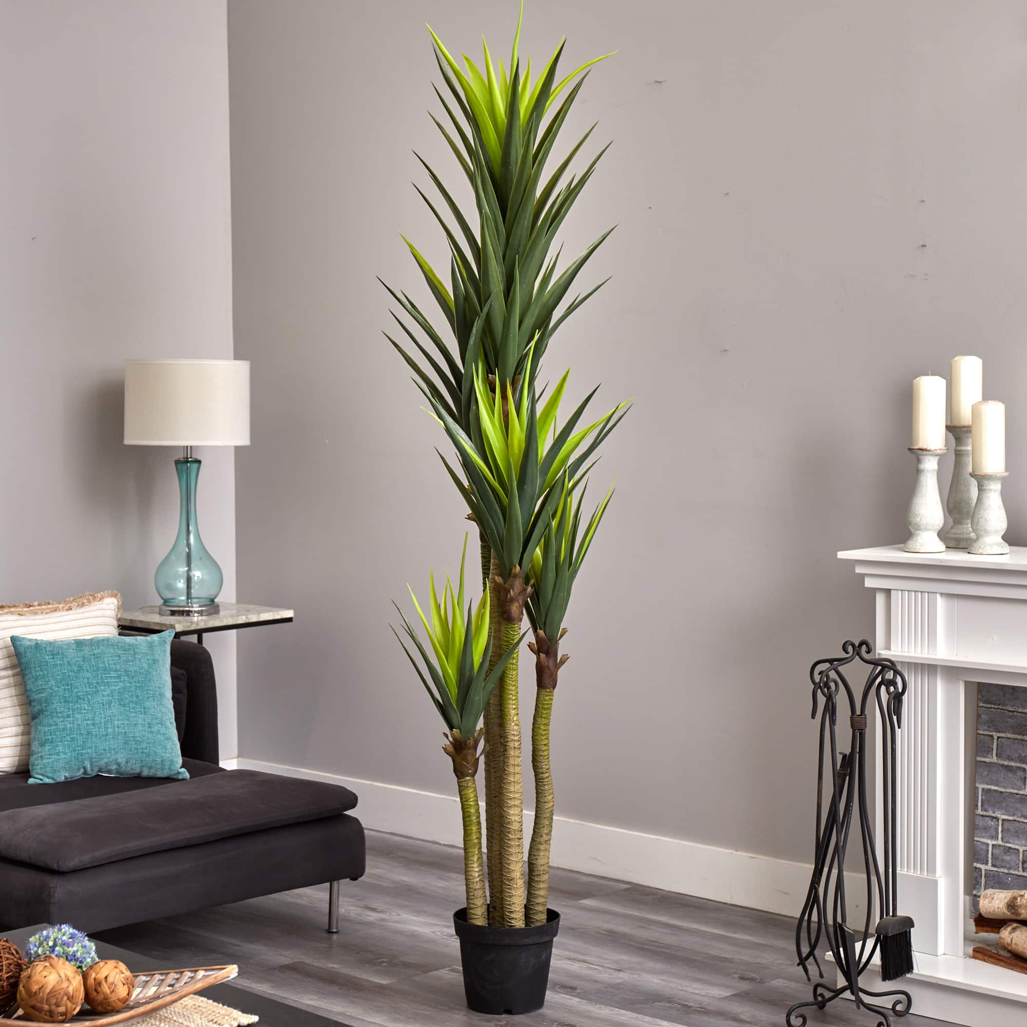 7ft. Potted Dracaena Tree
