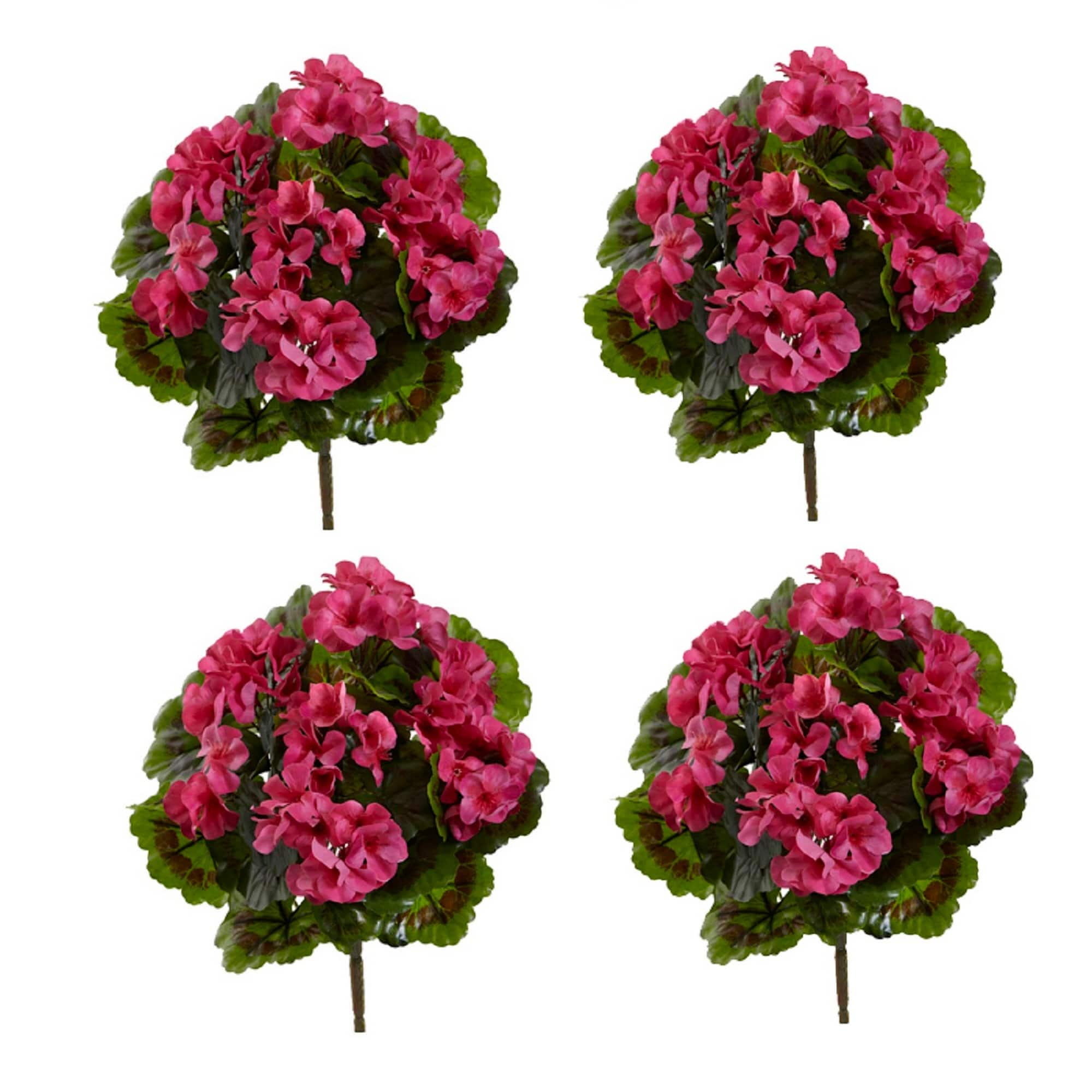 Pink Geranium Bush, 4ct. 