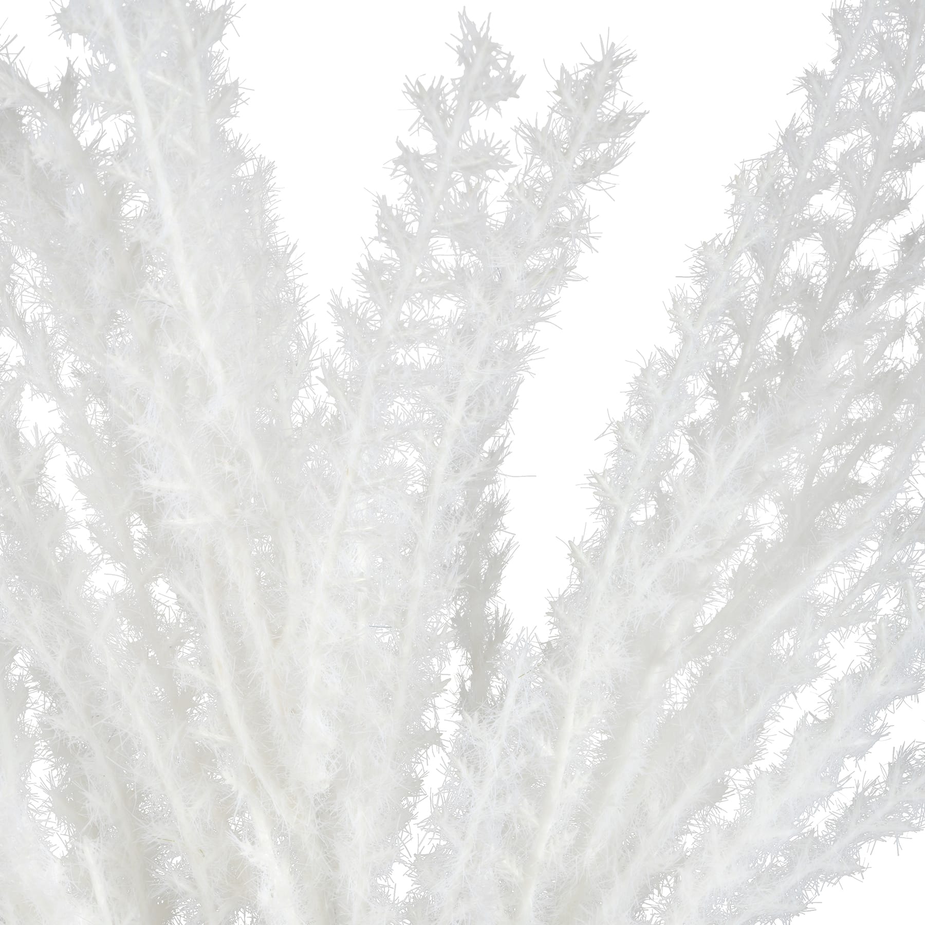 31" White Pampas Grass Stem by Ashland®