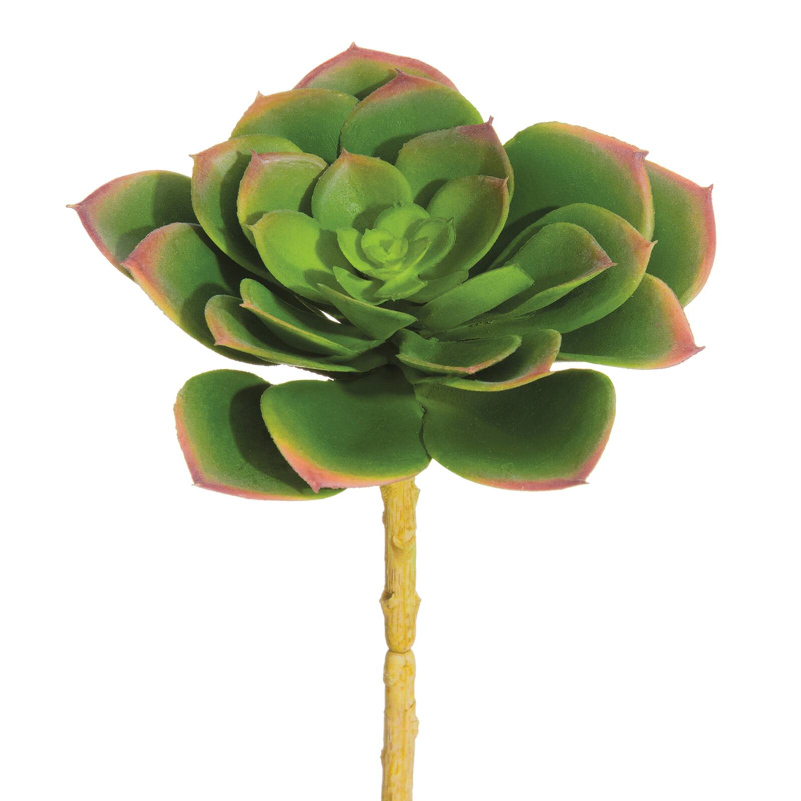 Soft Green &#x26; Lavender Echeveria Pick with Yellow Stem