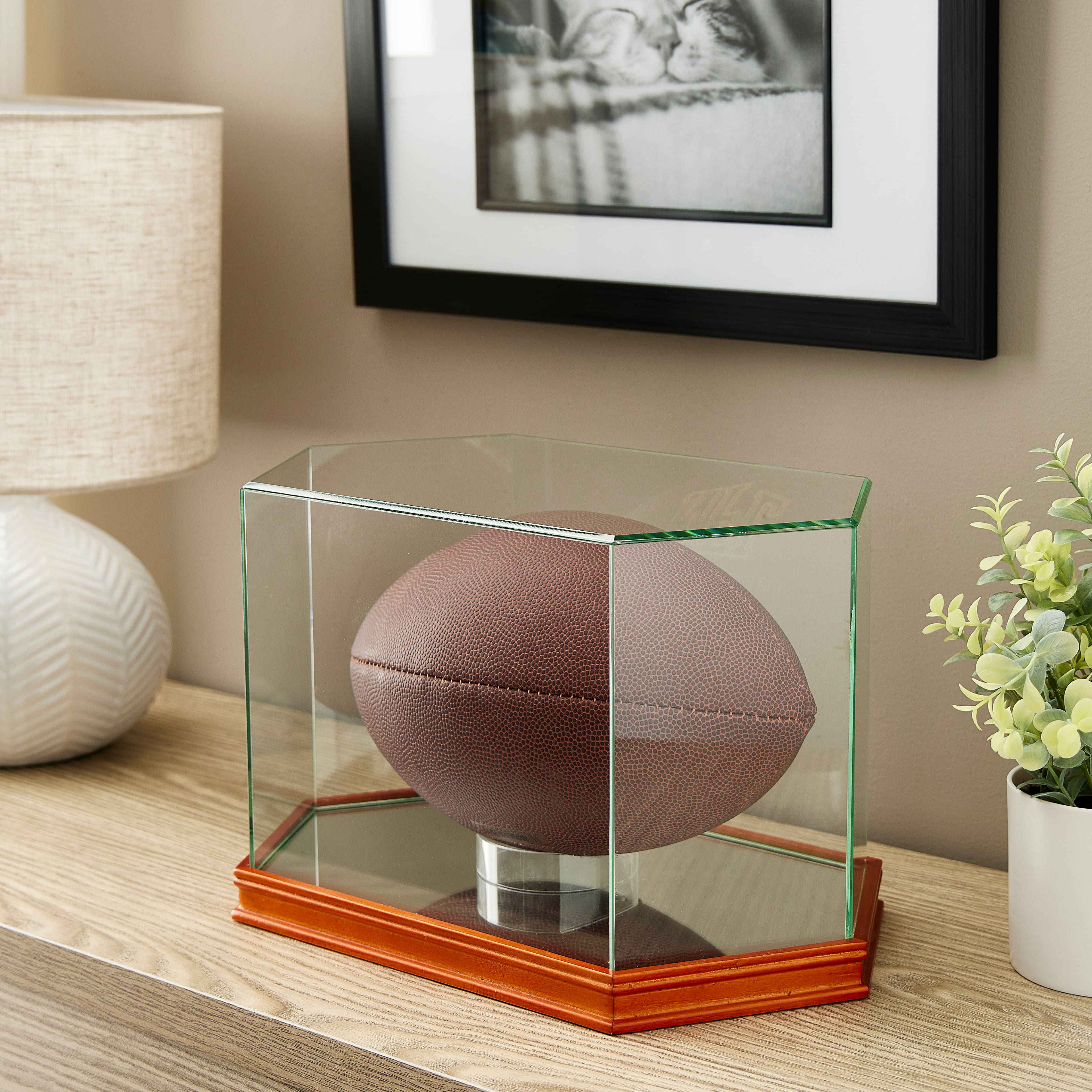 6 Pack: Football Display Case by Studio D&#xE9;cor&#xAE;