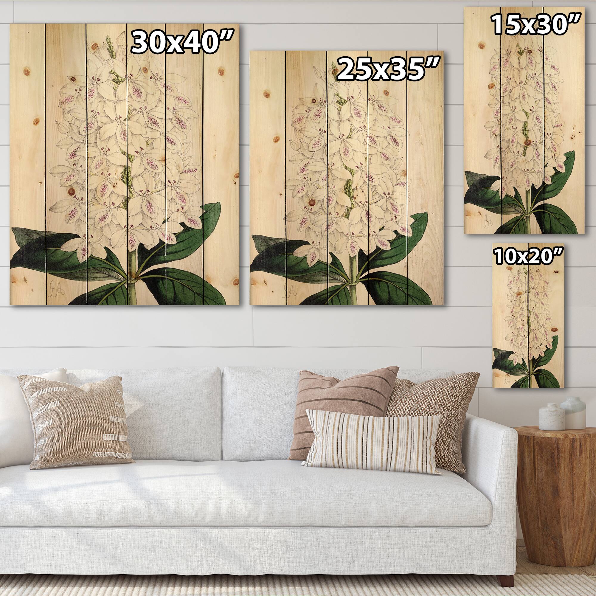 Designart - Vintage White Orchid III - Traditional Print on Natural Pine Wood