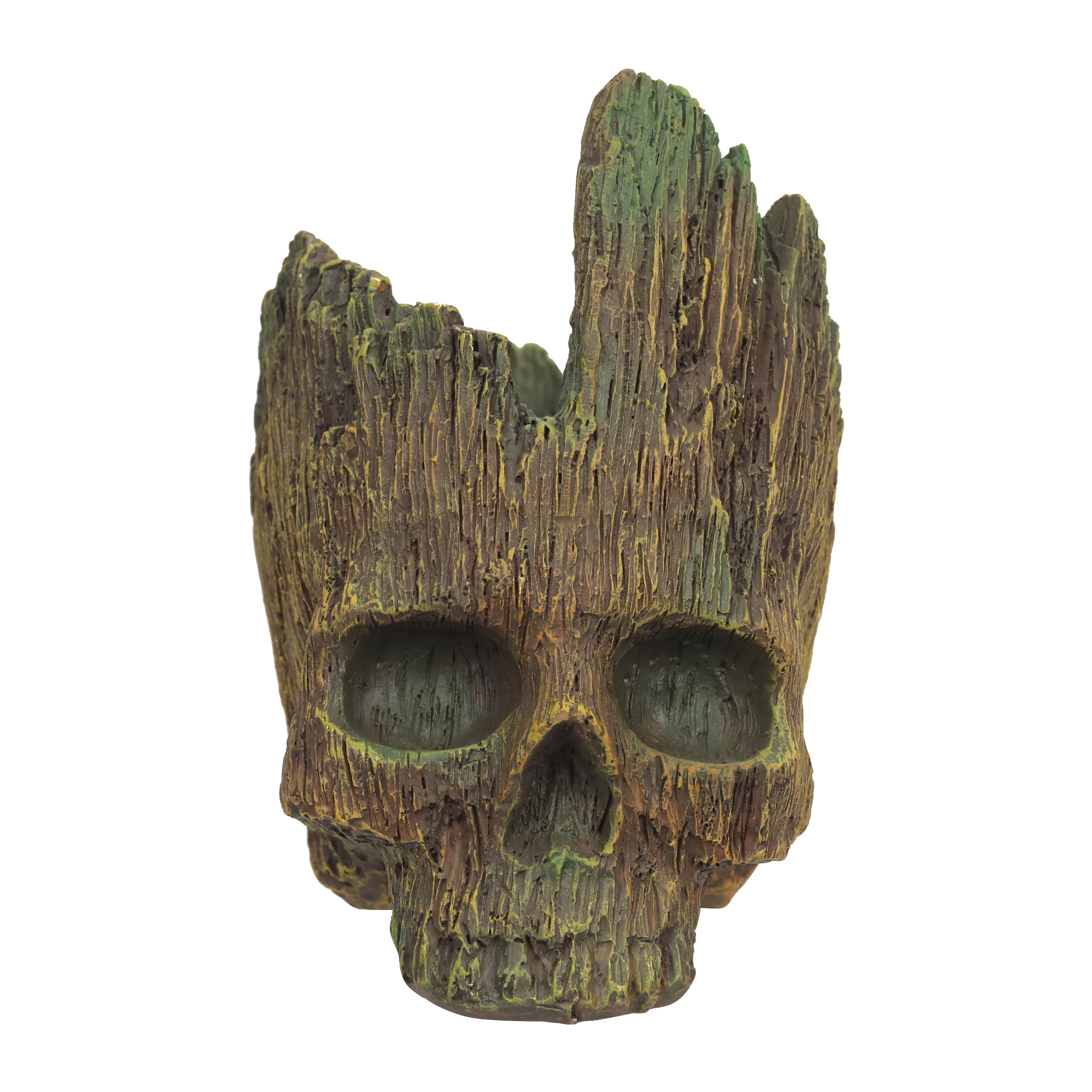 8.5" Faux Wood Skull Planter by Ashland®