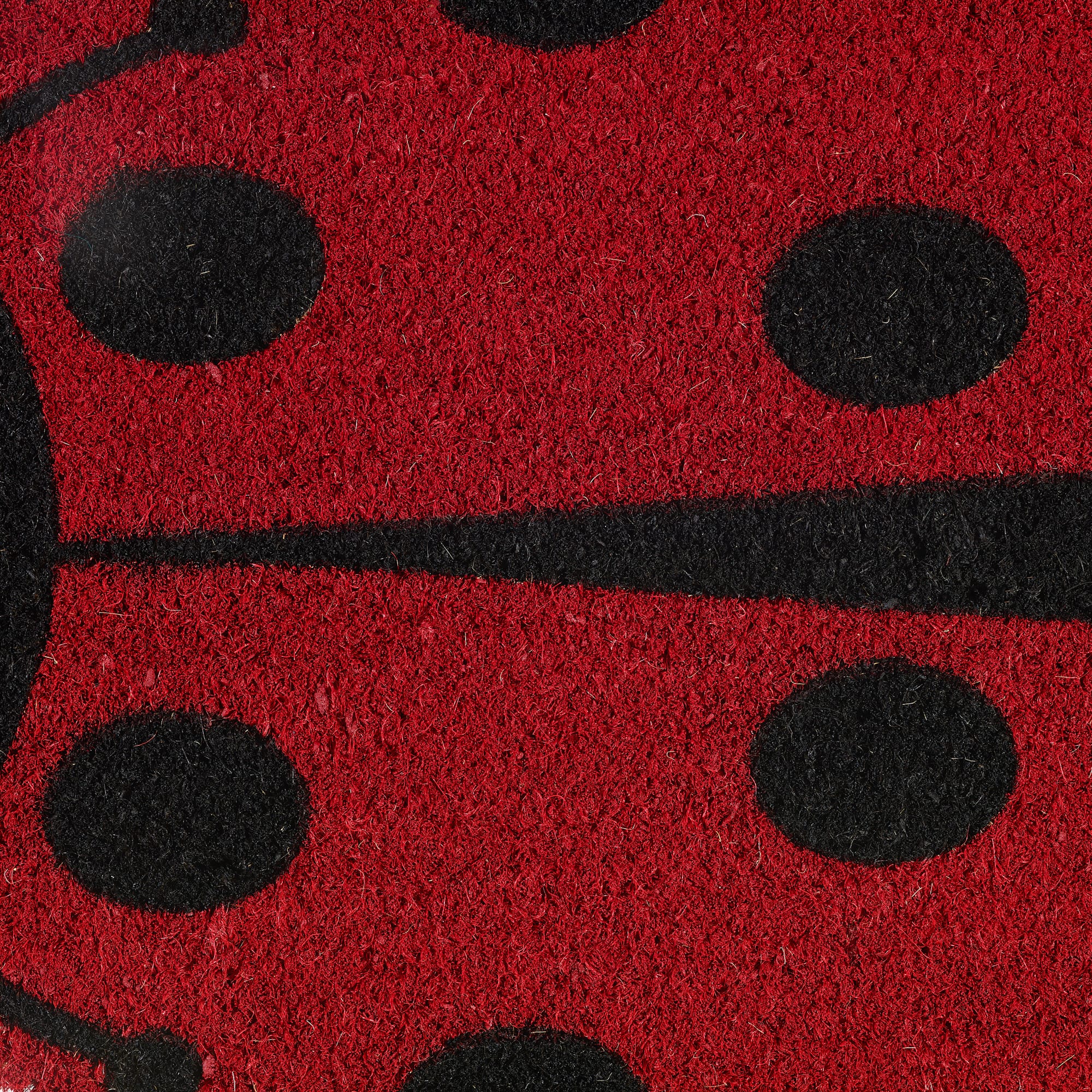 DII&#xAE; Lady Bug Doormat