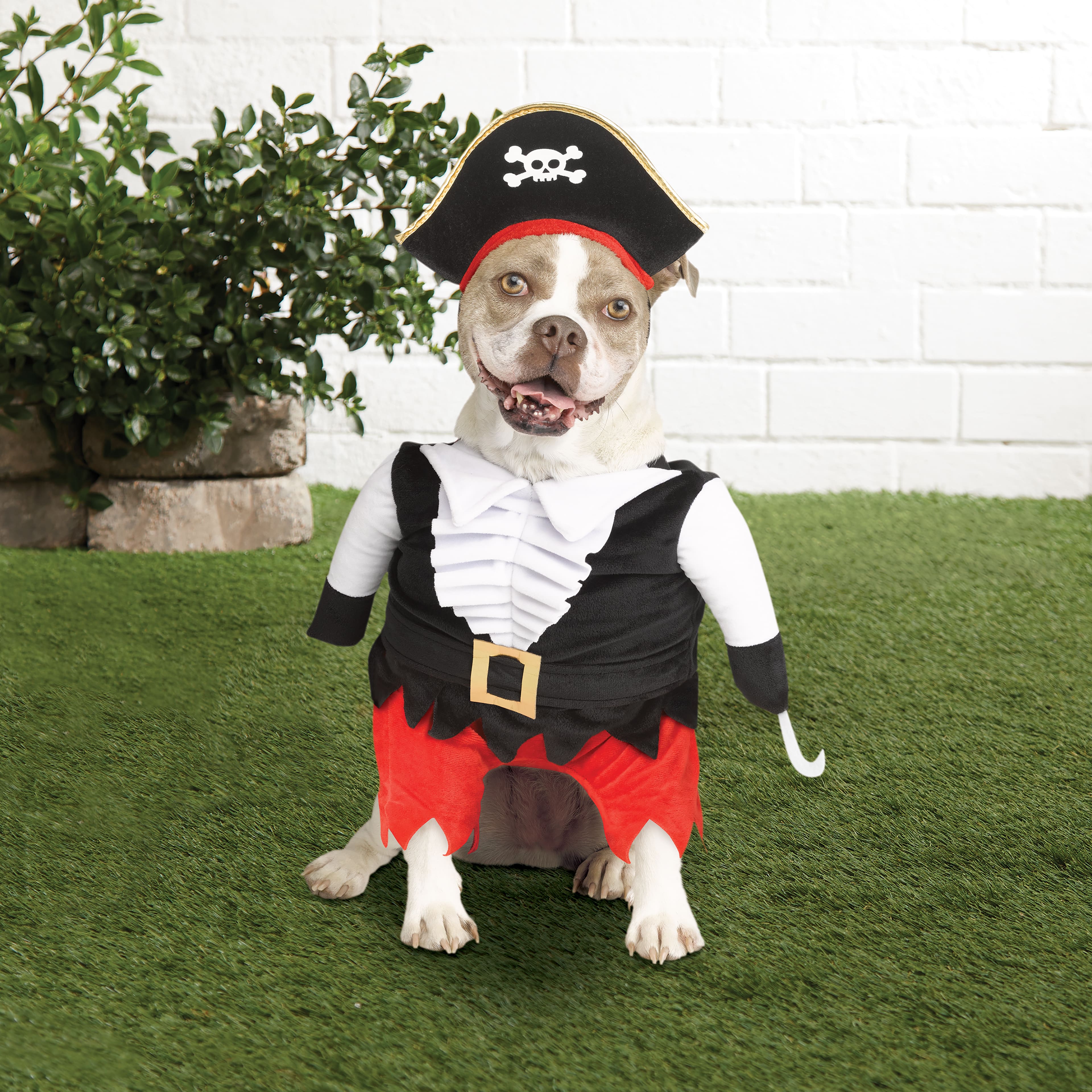 Pirate Dog Costume by Ashland®