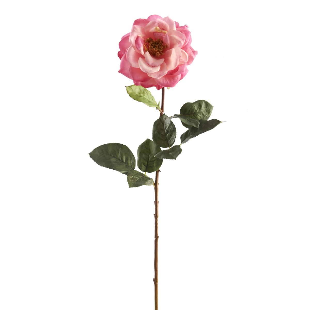 12 Pack: Pink Orlane Rose Stem by Ashland®