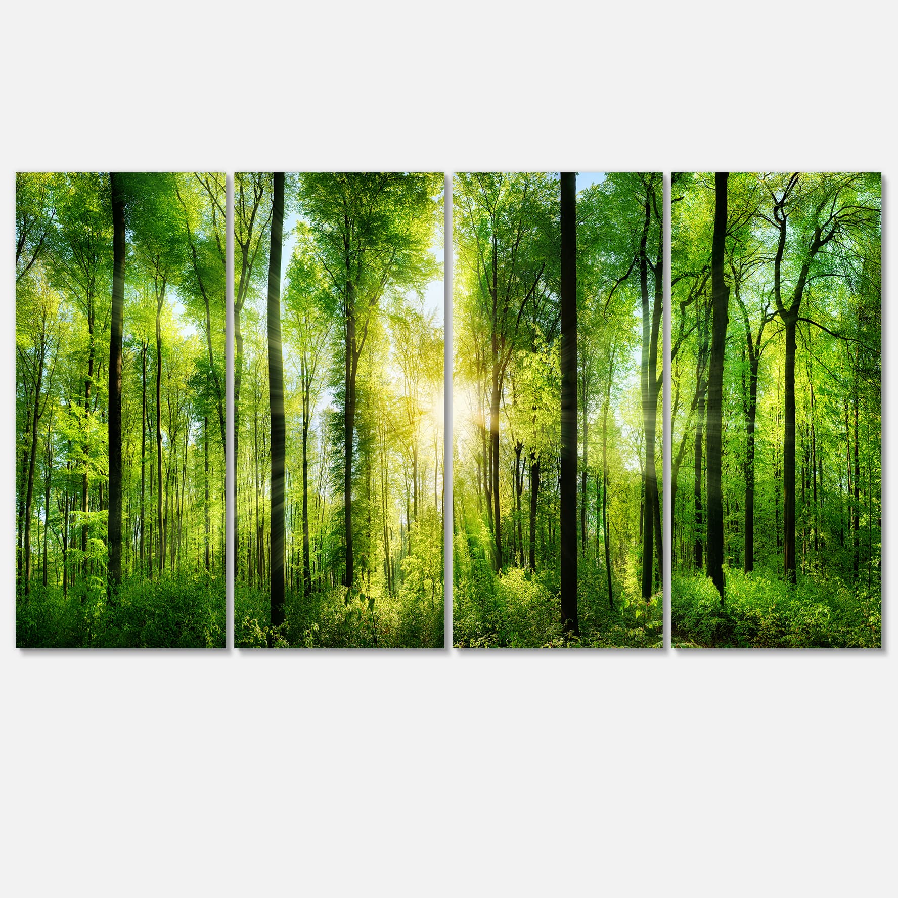 Designart - Forest with Rays of Sun Panorama - Landscape Art Print Canvas