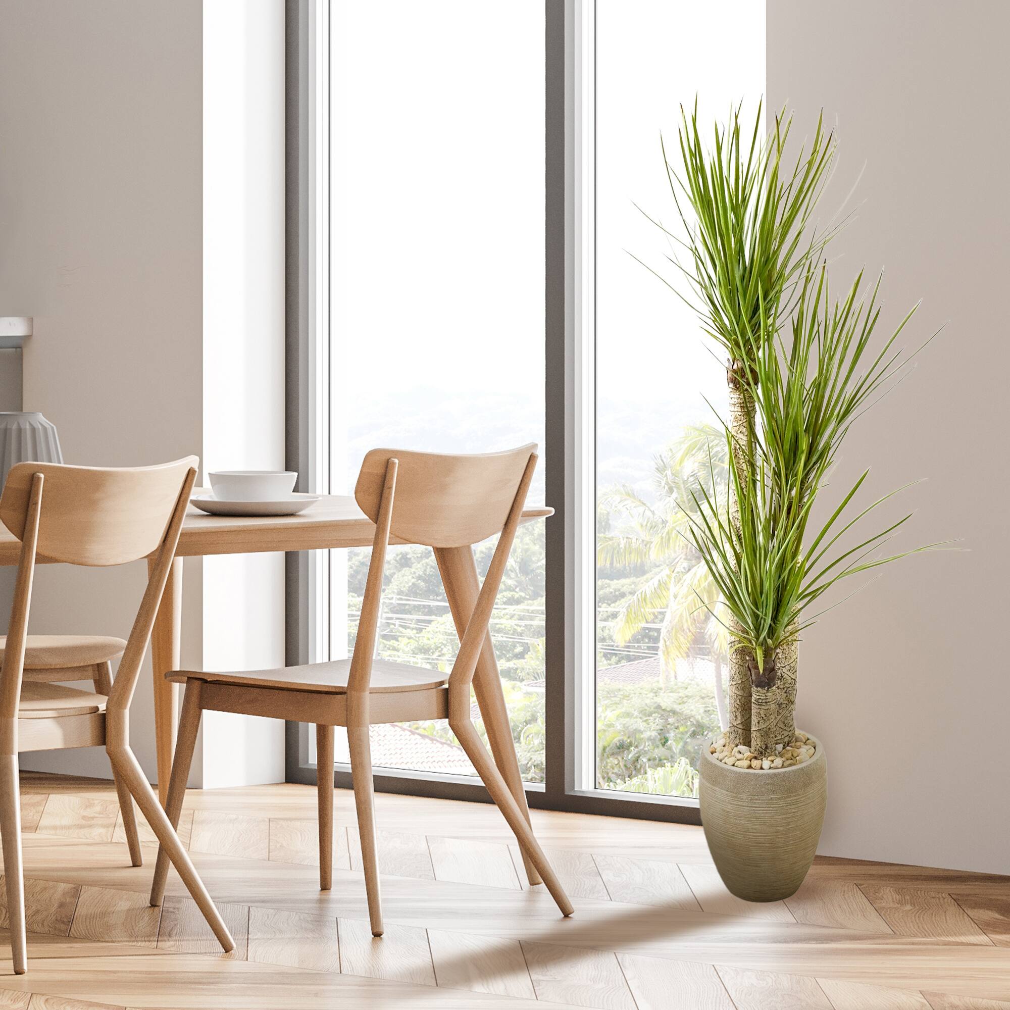 5ft. Yucca Tree In Sand Colored Planter