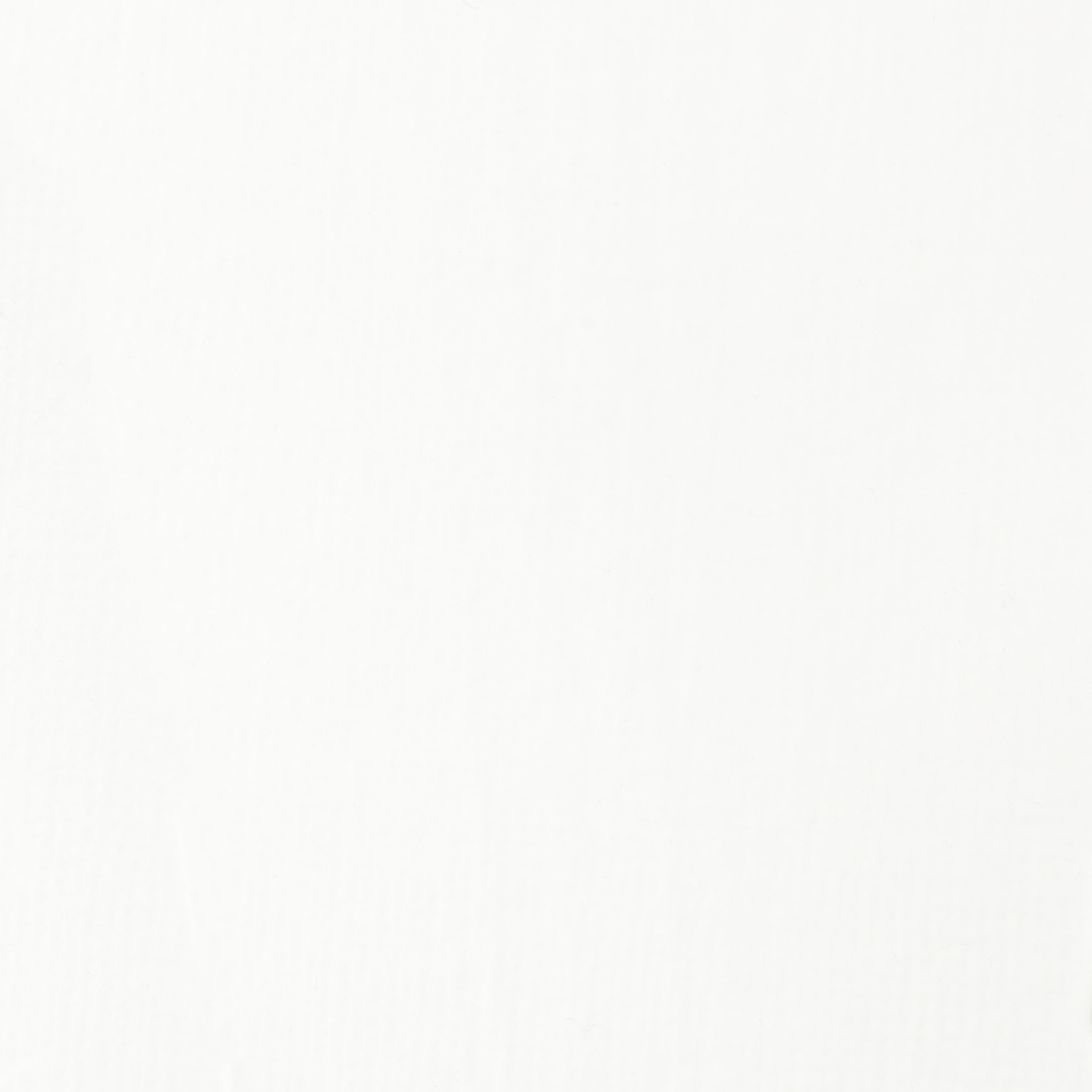 12 Pack: Liquitex® BASICS® Acrylic Fluid, 4oz.