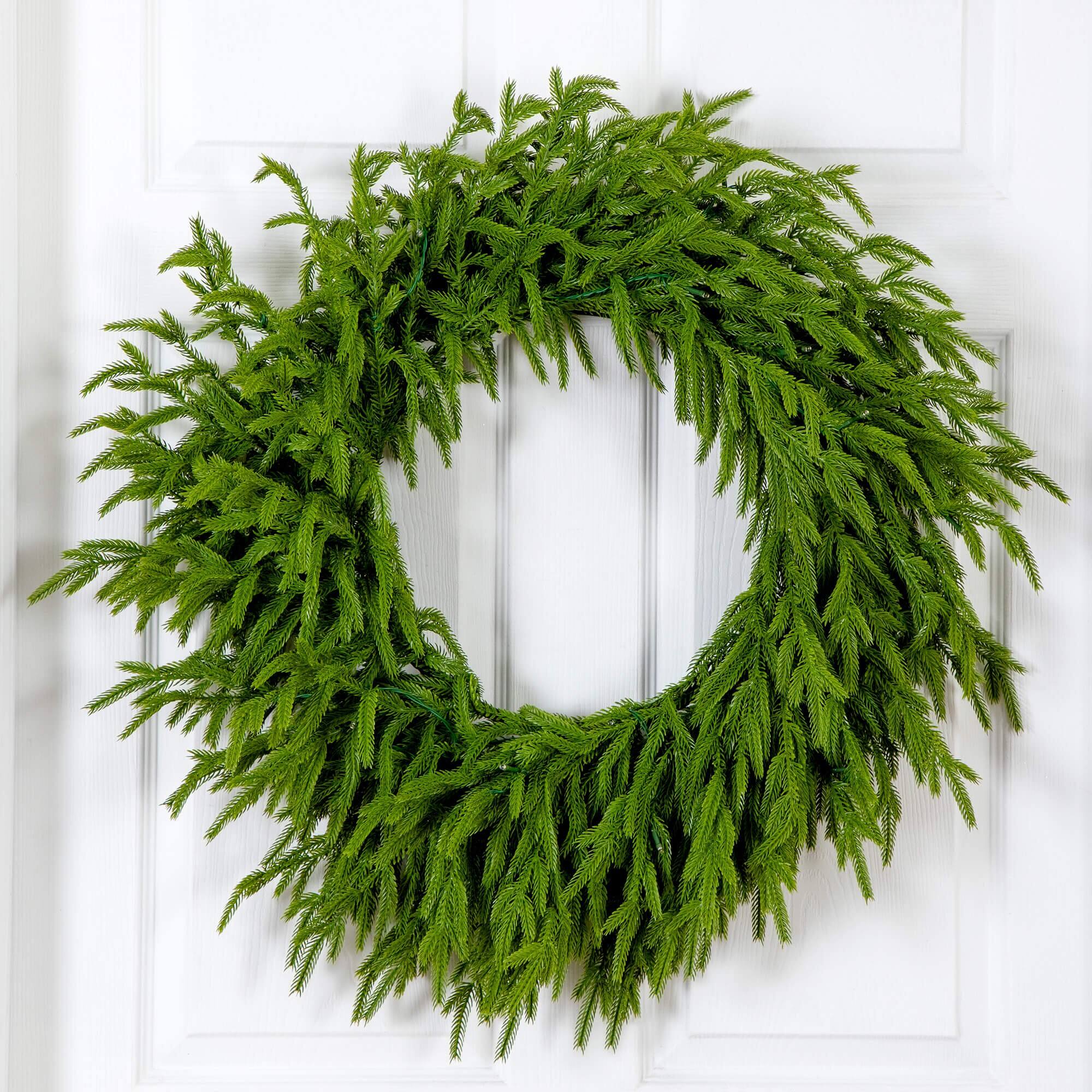 24in. Pre-Lit Artificial Real Touch Norfolk Island Pine Wreath with 50 Warm White LED Lights and Natural Look