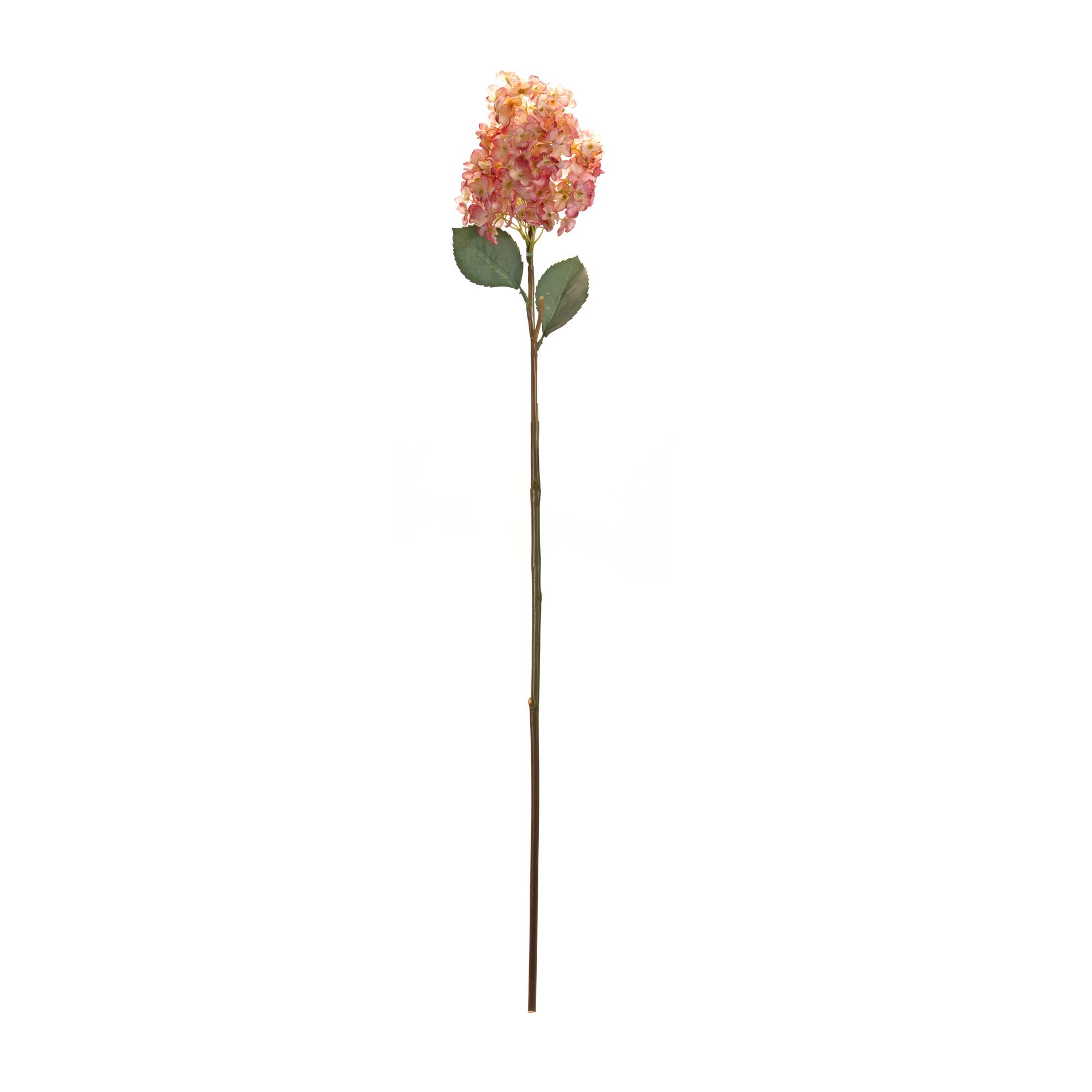 34.5&#x22; Cone Hydrangea Stem, 6ct.