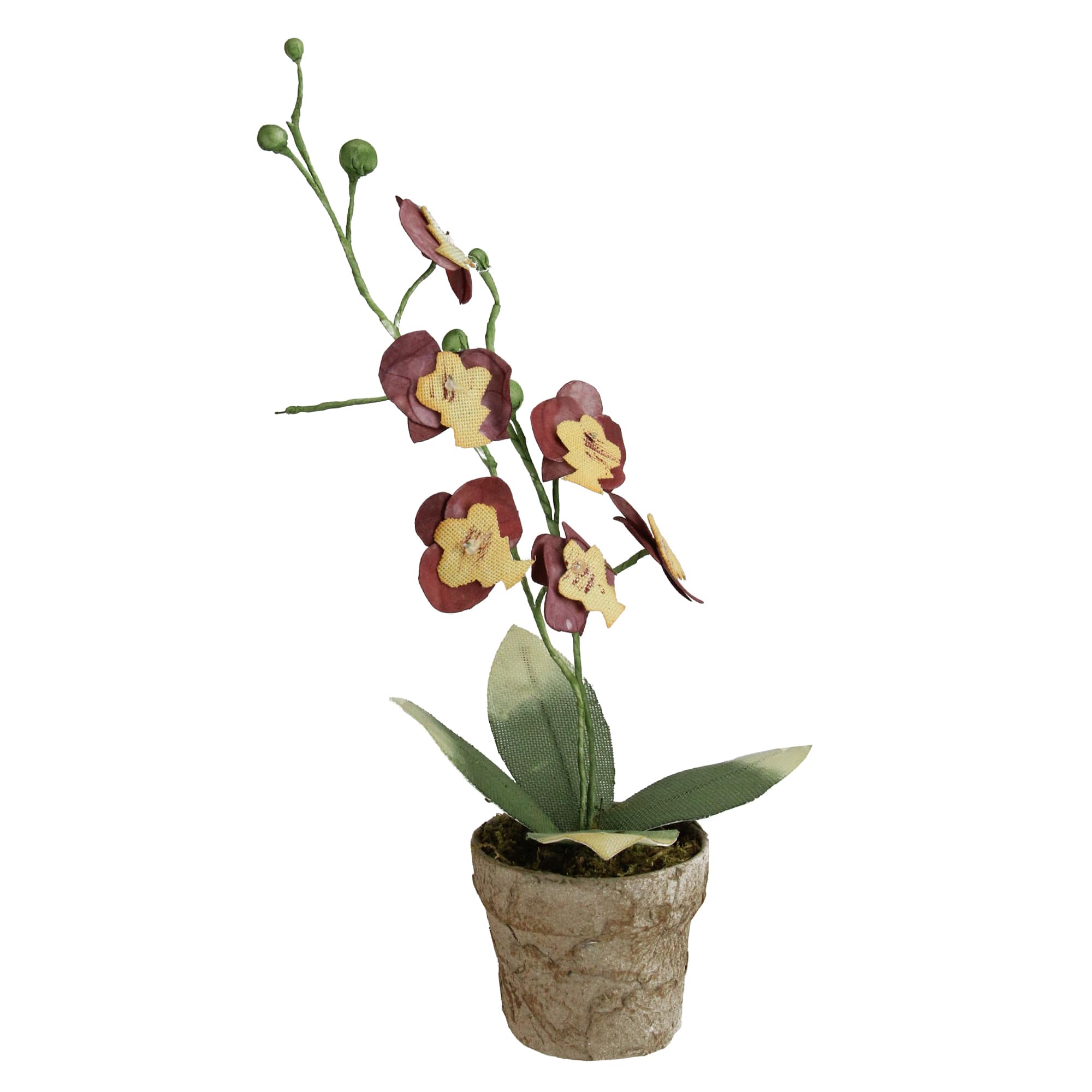 14" Crimson & Banana Yellow Potted Orchids