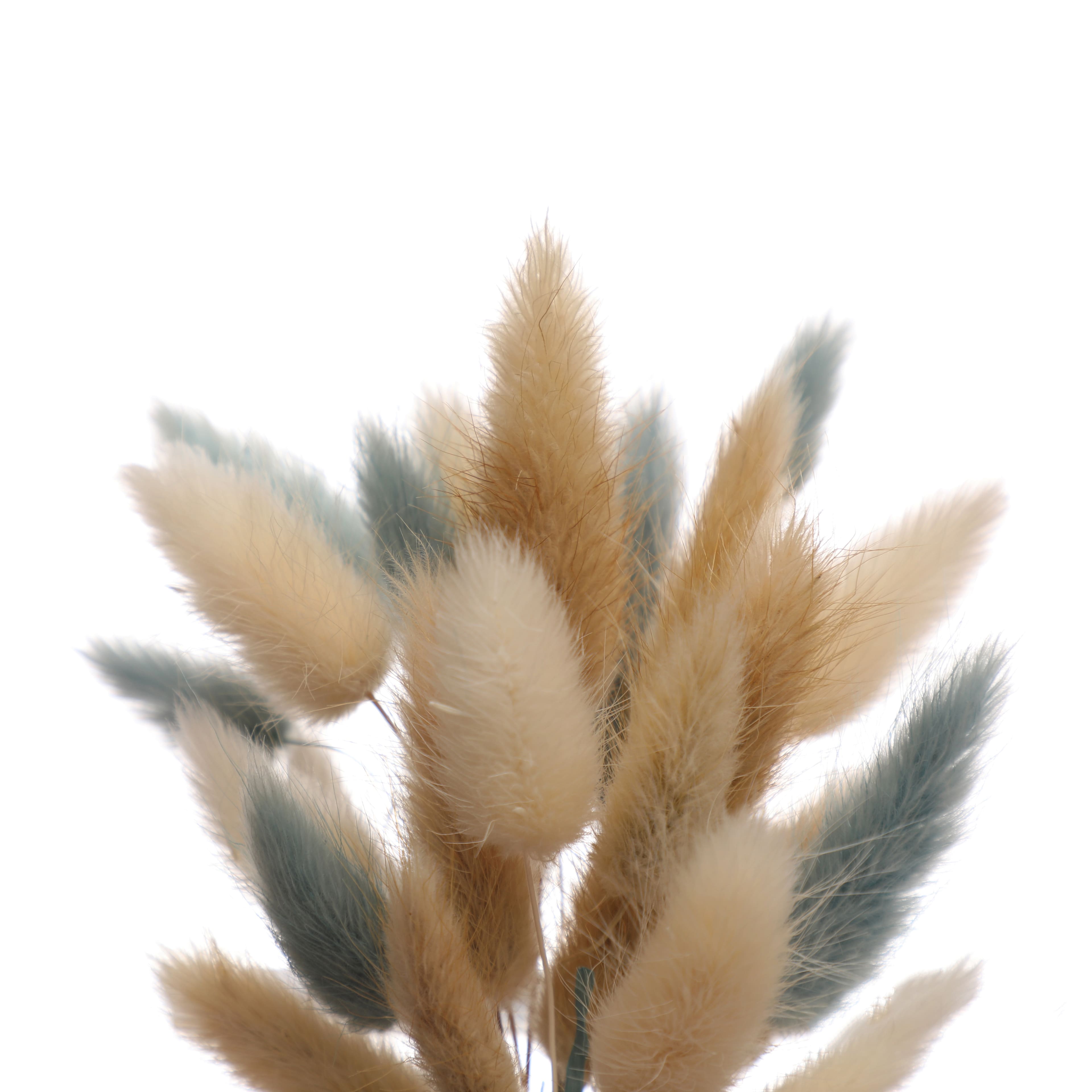 Natural &#x26; Blue Dried Lagurus Mini Bundle by Ashland&#xAE;