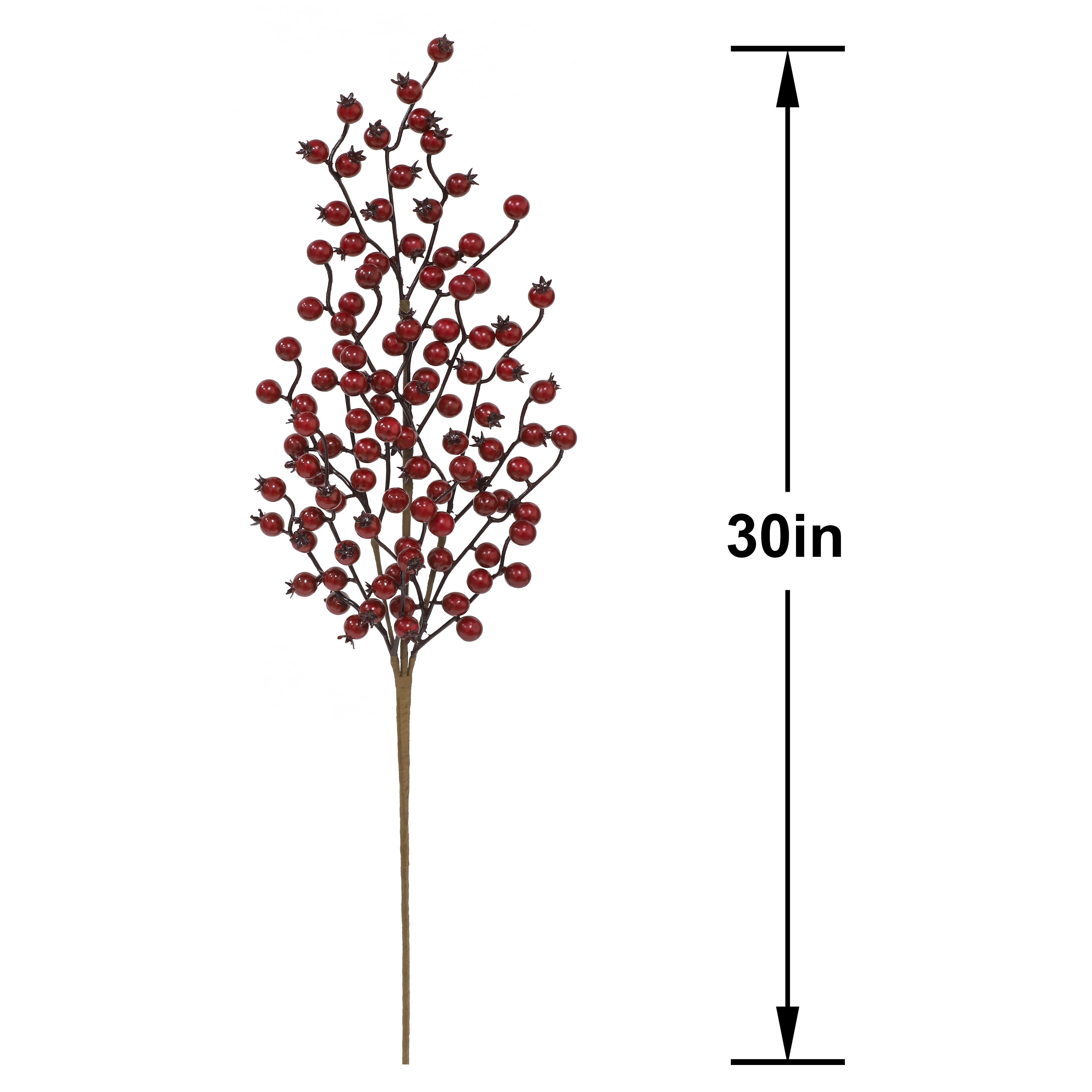 30&#x22; Red Berry Stem by Ashland&#xAE;