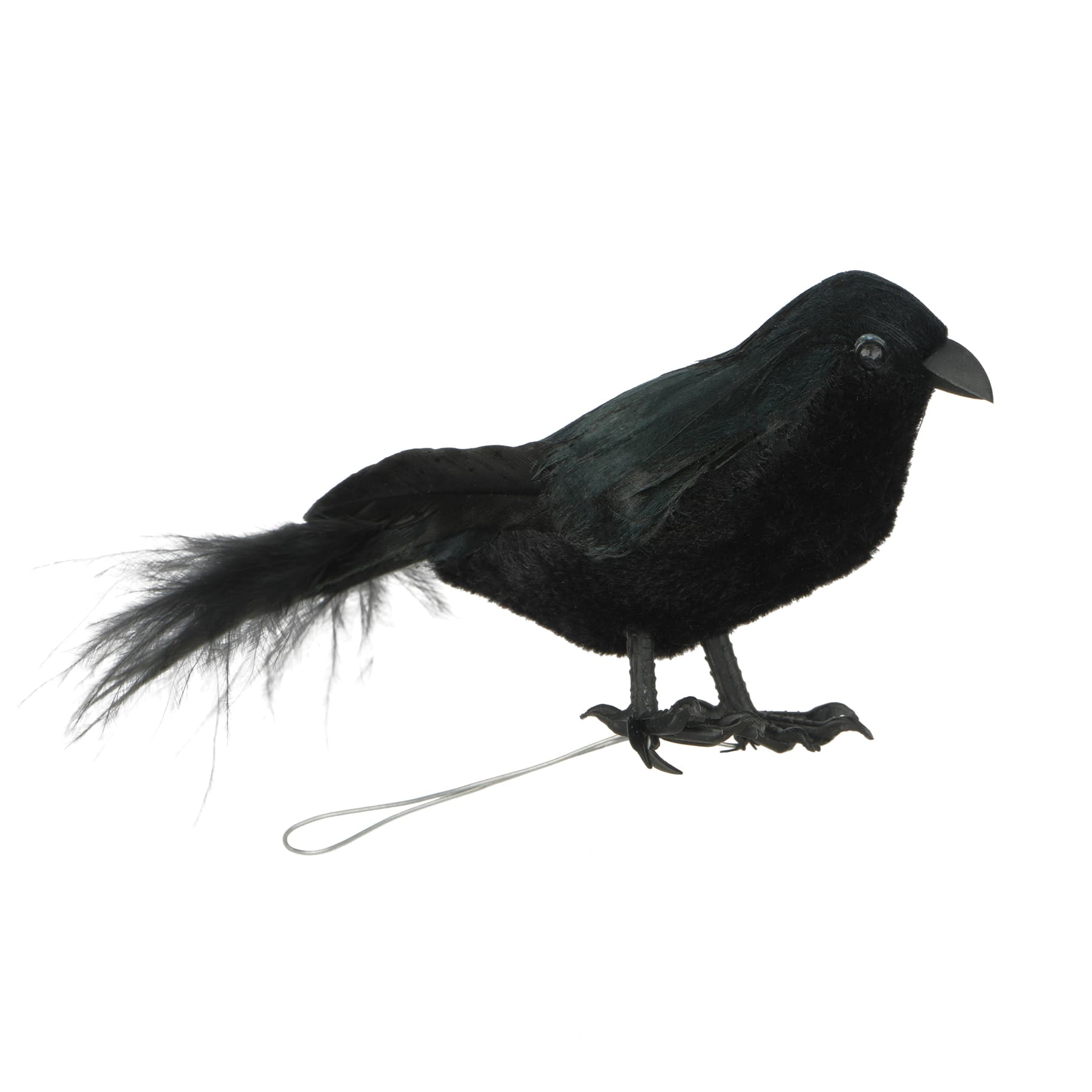 Mini Black Crow Set by Ashland&#xAE;