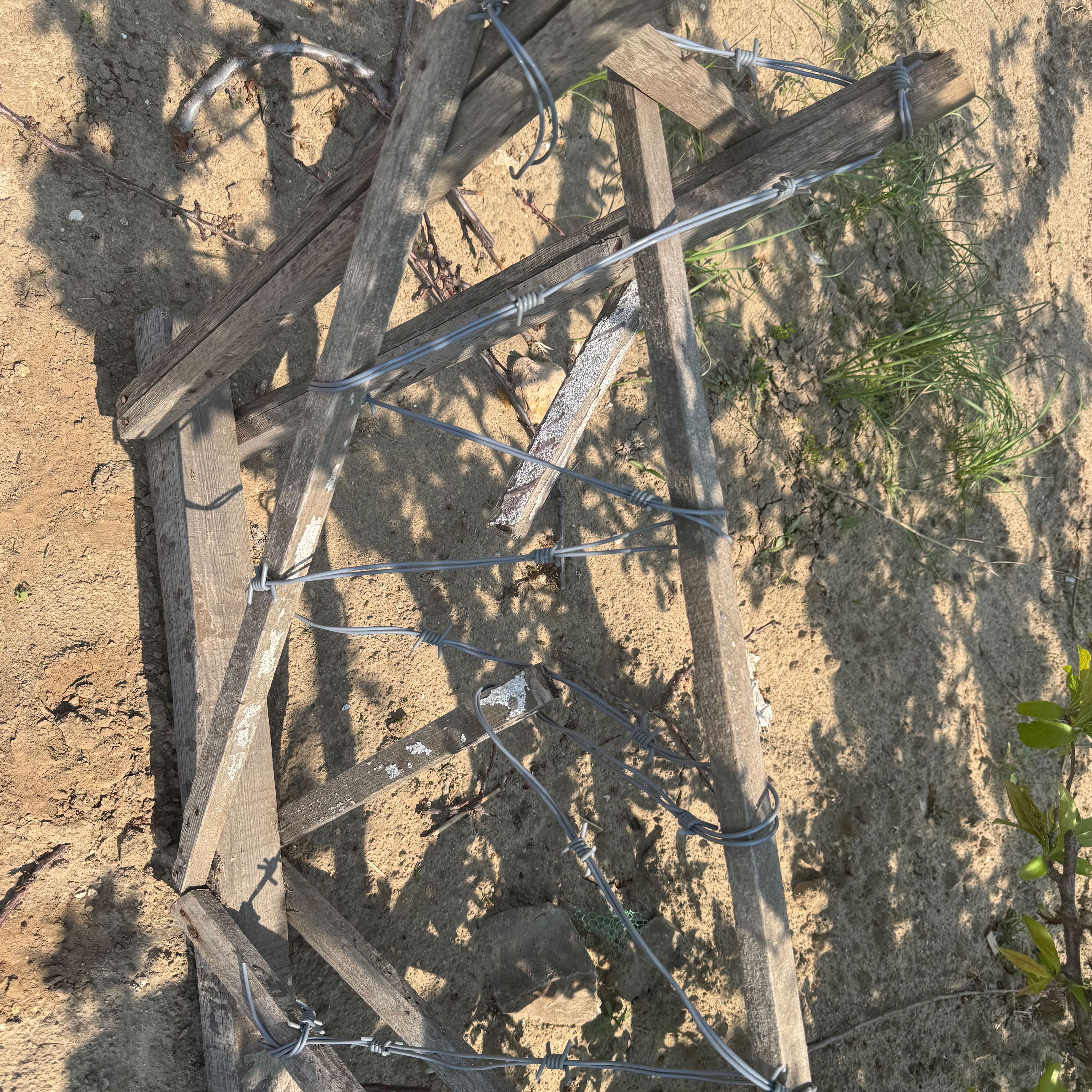 12ft. Black Plastic Barbed Wire by Ashland&#xAE;