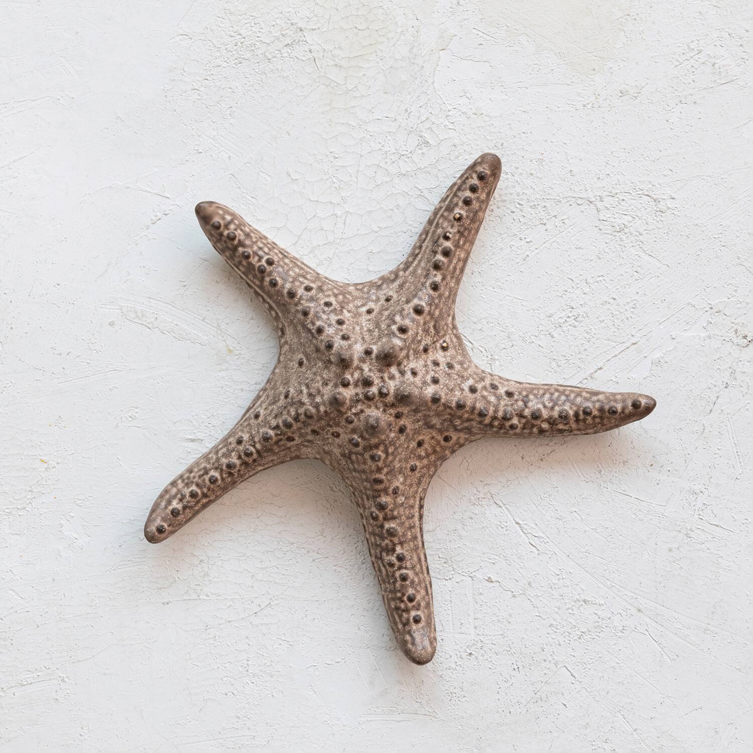 Hello Honey&#xAE; 11&#x22; Brown Stoneware Starfish Decoration