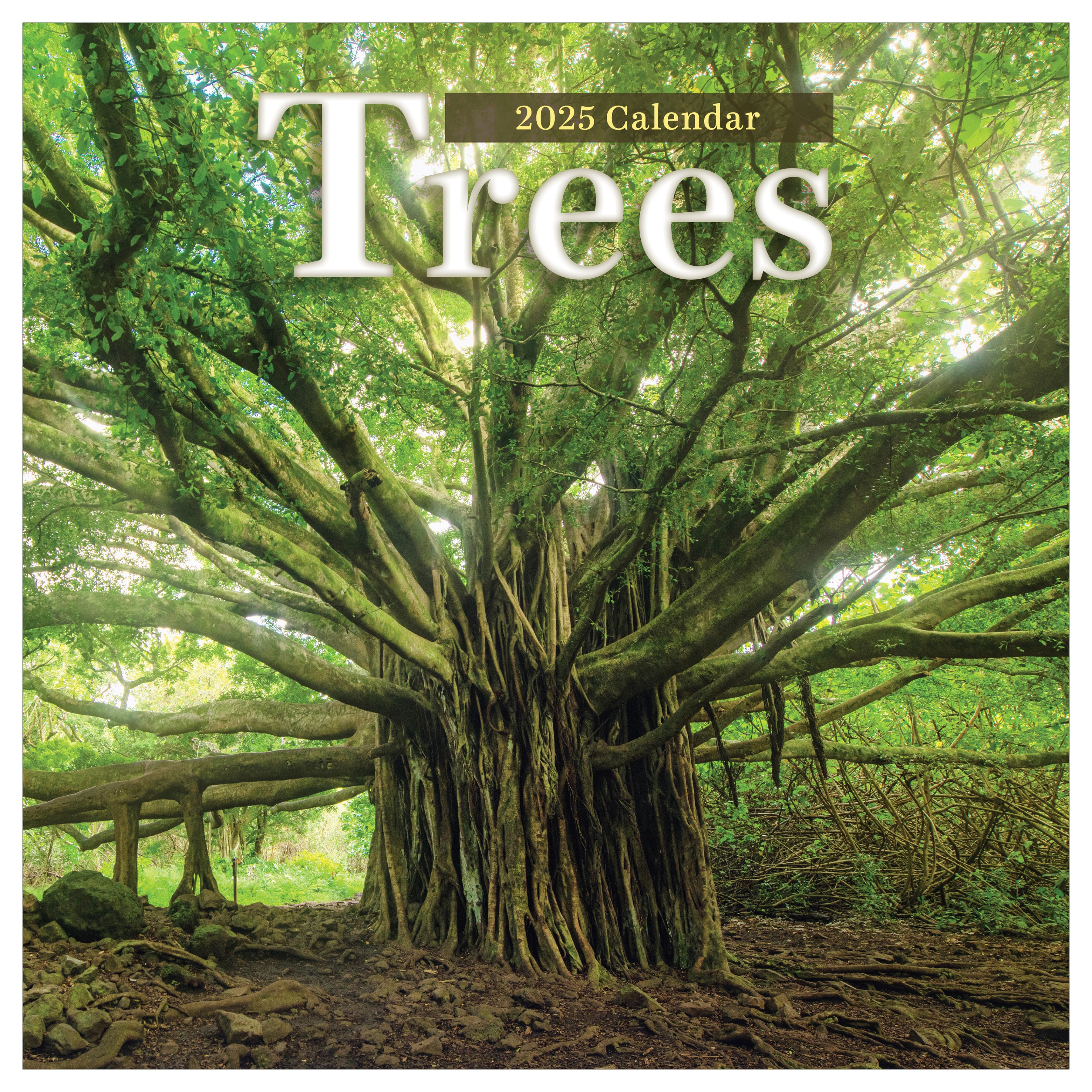 TF Publishing 2025 Trees Wall Calendar
