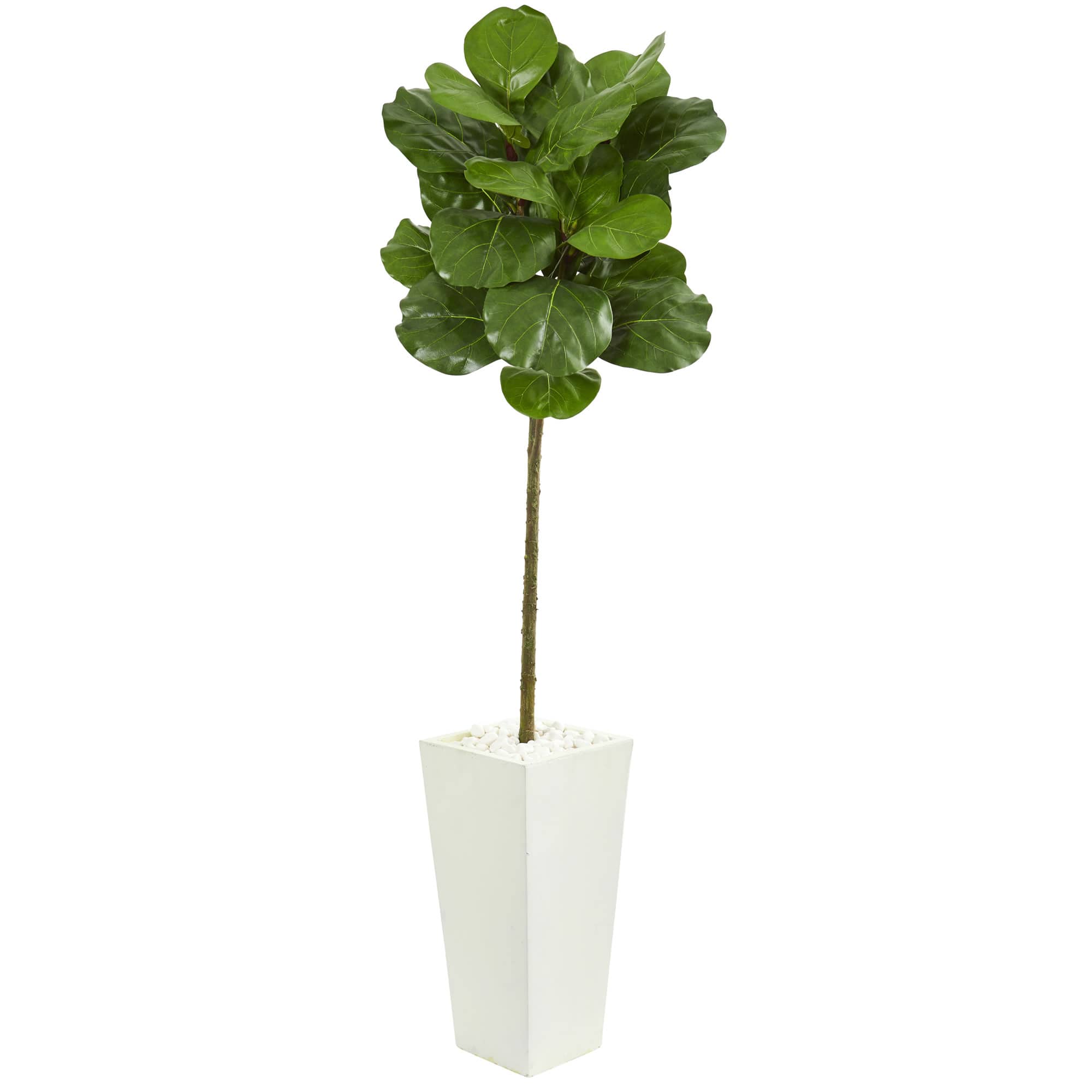 5.5ft. Fiddle Leaf Tree in White Tower Planter