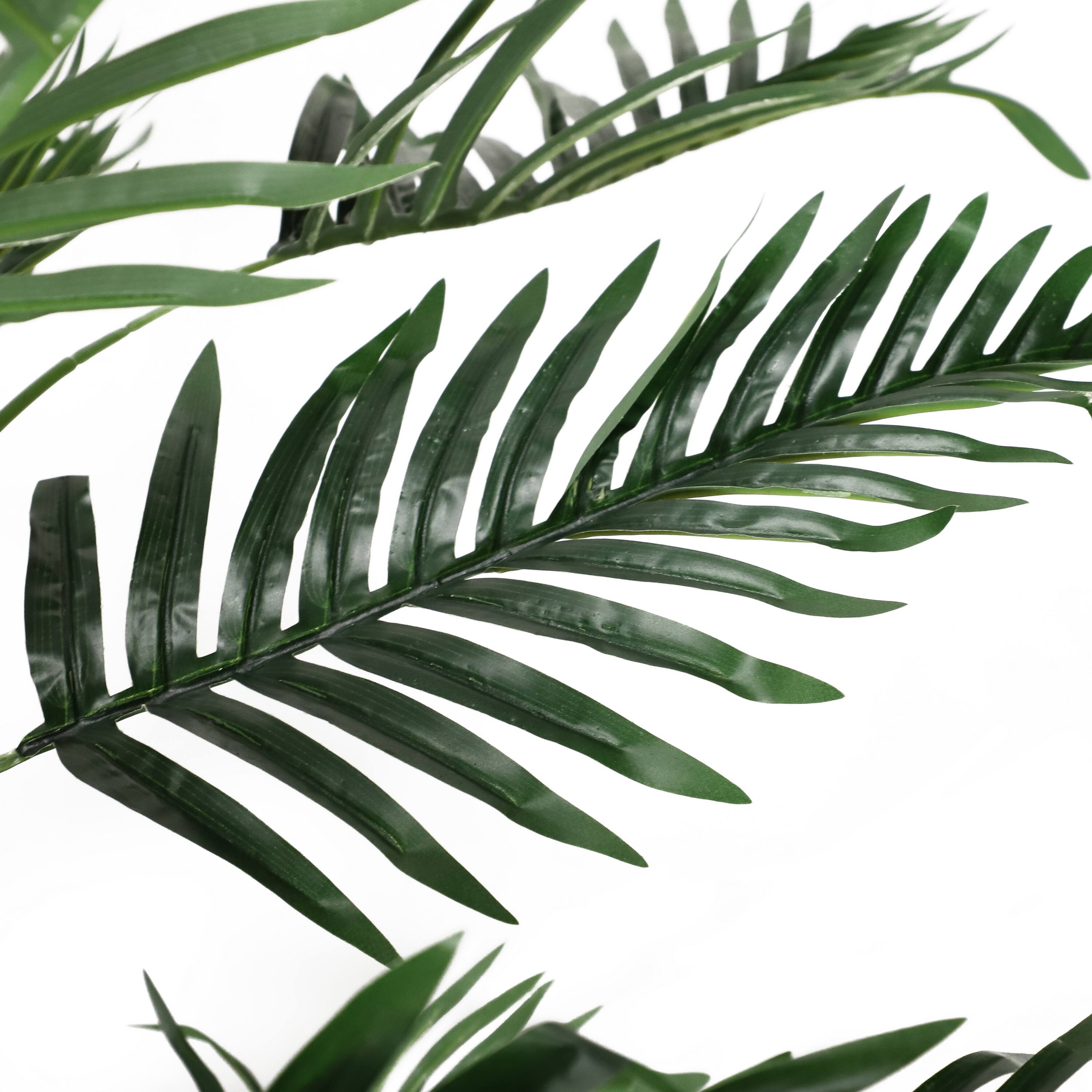 6 Pack: 6.5ft. Potted Areca Palm Tree