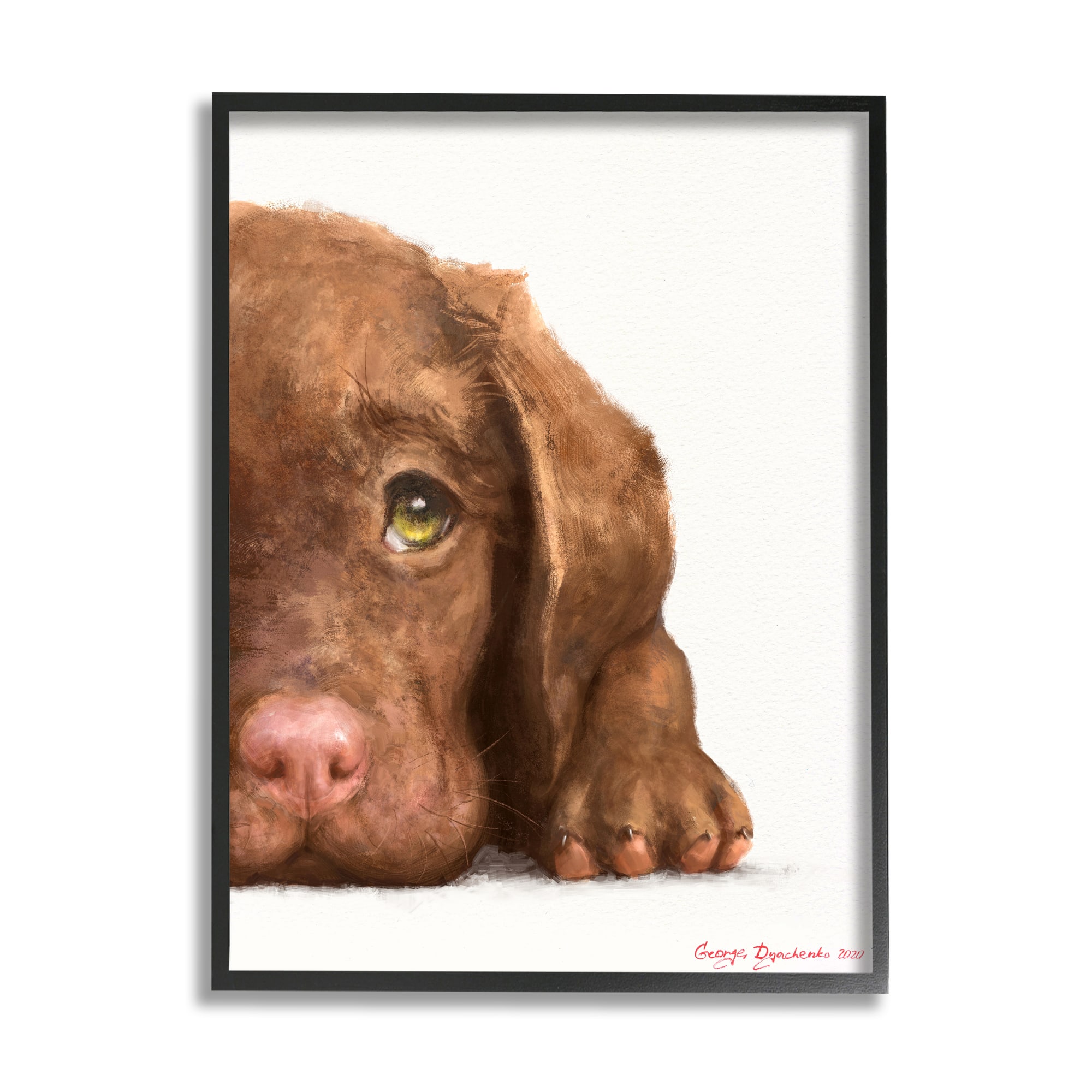 Stupell Industries Chocolate Labrador Puppy Resting Adorable Dog Portrait in Black Frame Wall Art