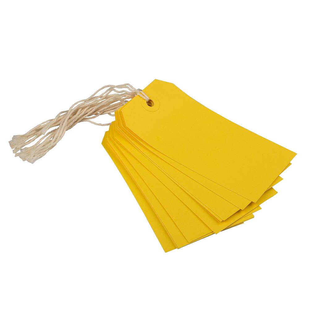 JAM Paper Medium Gift Tags with String