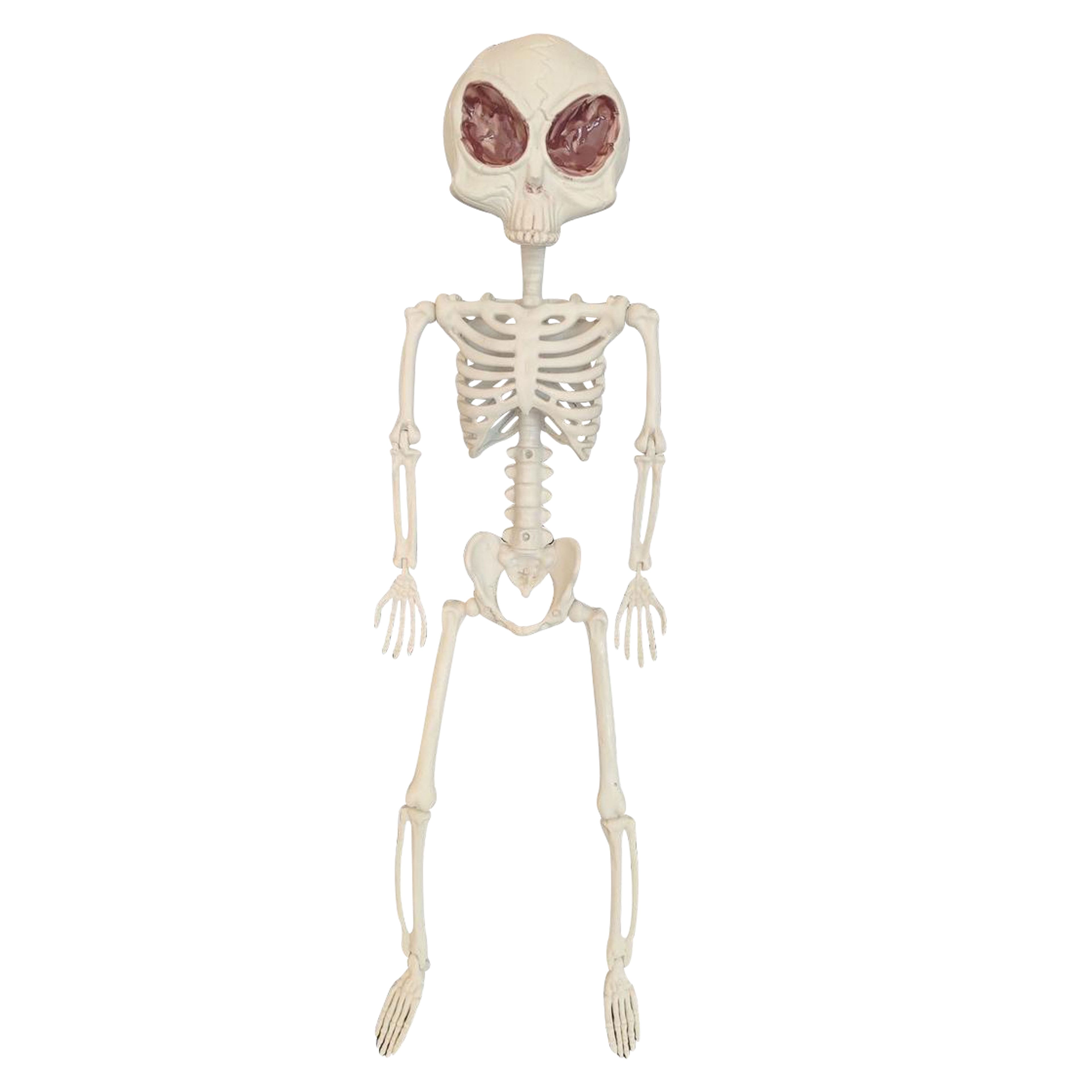 24&#x22; Alien Skeleton by Ashland&#xAE;