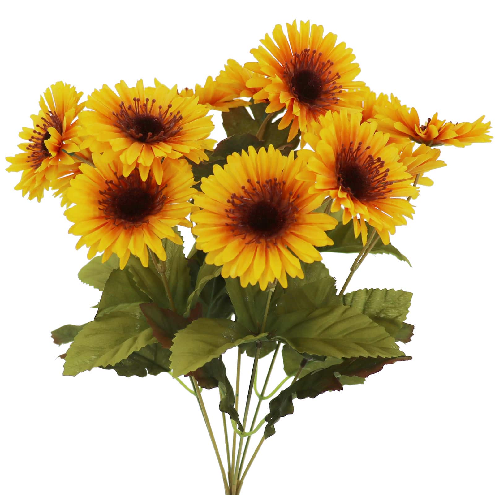 10&#x22; Fall Daisy Bush by Ashland&#xAE;
