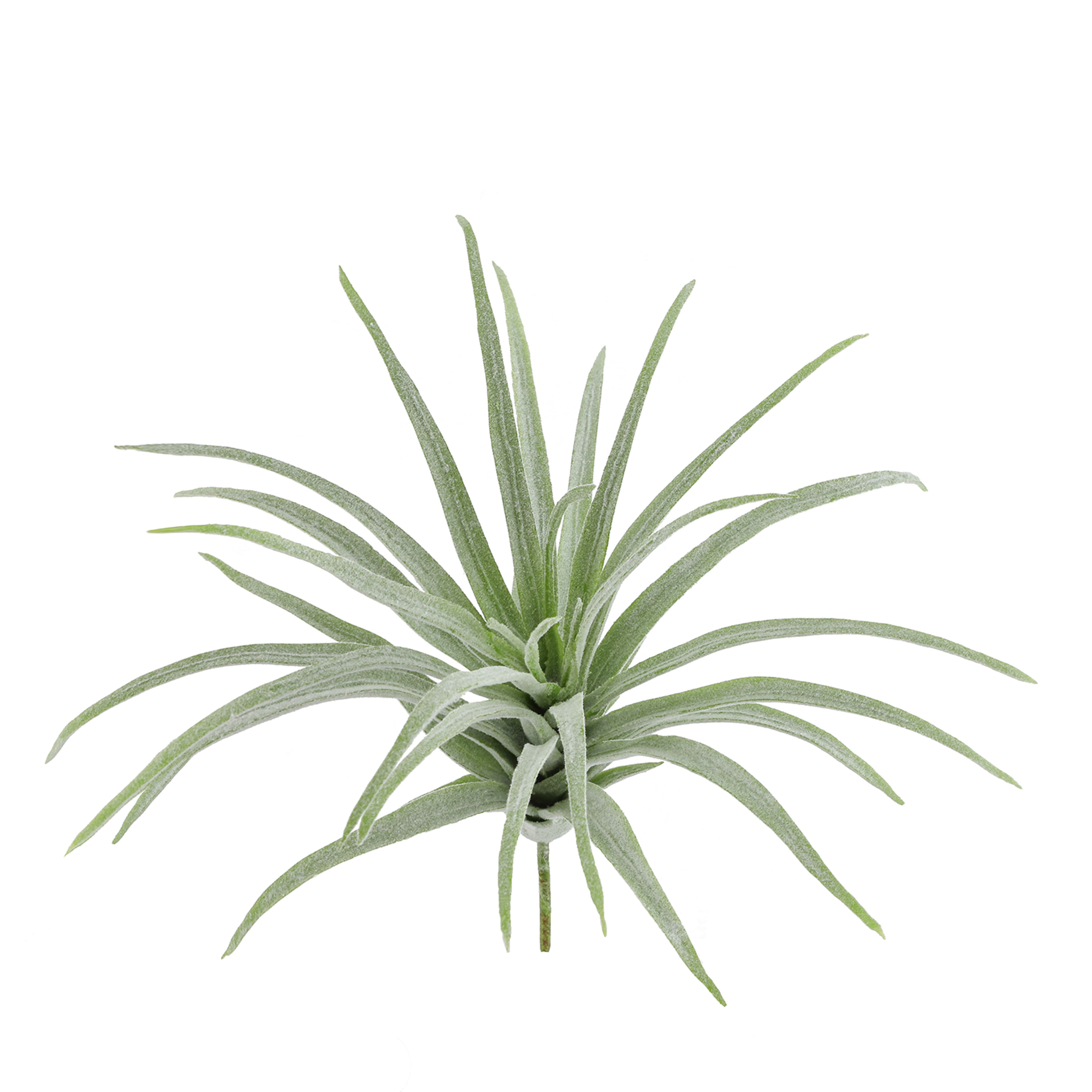 Tige d&#xE9;corative de tillandsia vert d&#x2019;Ashland, 15,2&#xA0;cm