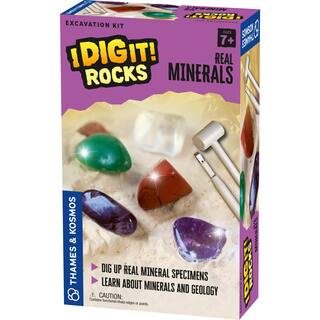 Thames & Kosmos I Dig It! Set Da Scavo 24 Kit Con Minerali E Fossili, Per Bambini, Bomboniera, Calza Di Natale