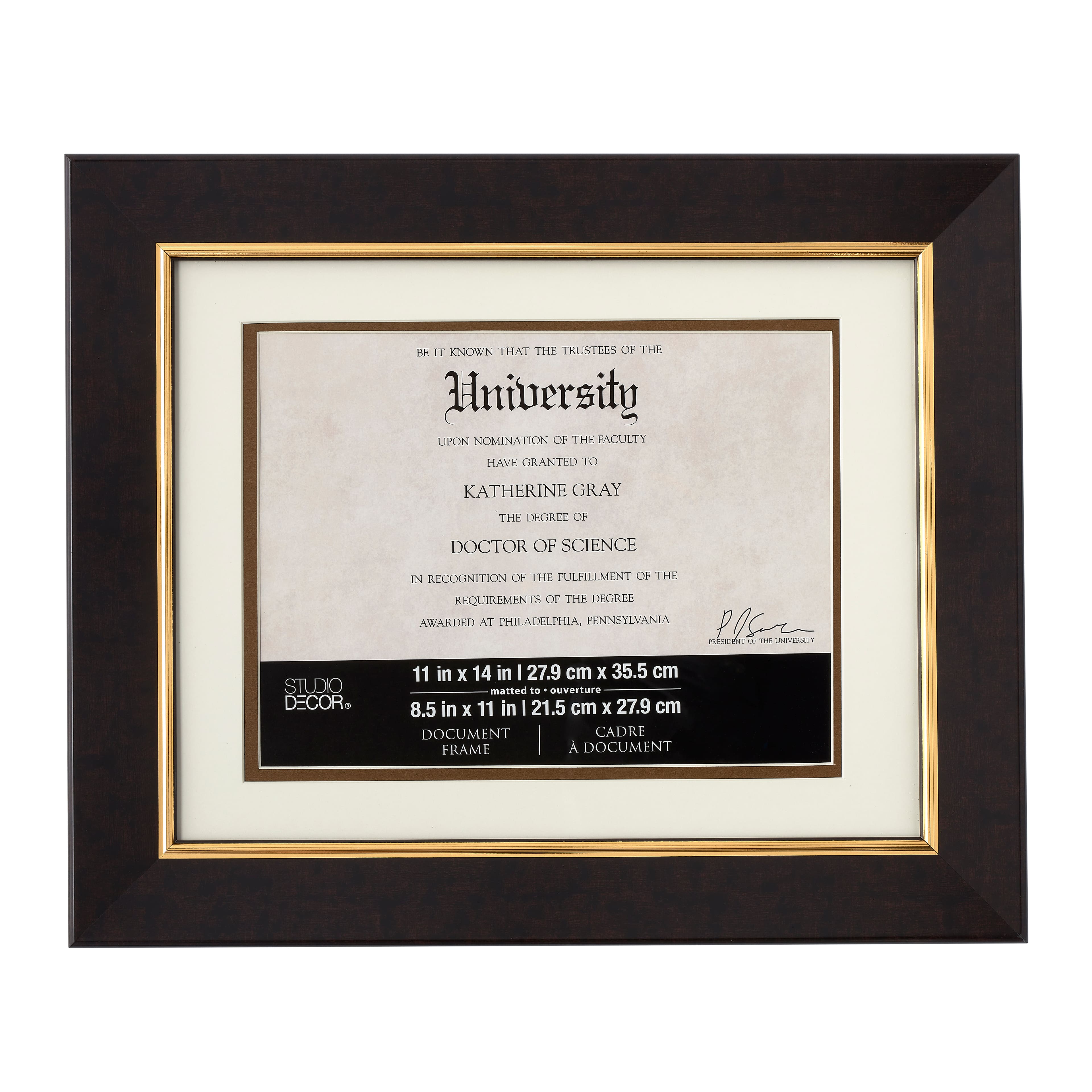 8 Pack: Brown &#x26; Gold 8.5&#x22; x 11&#x22; Document Frame with Mat by Studio D&#xE9;cor&#xAE;