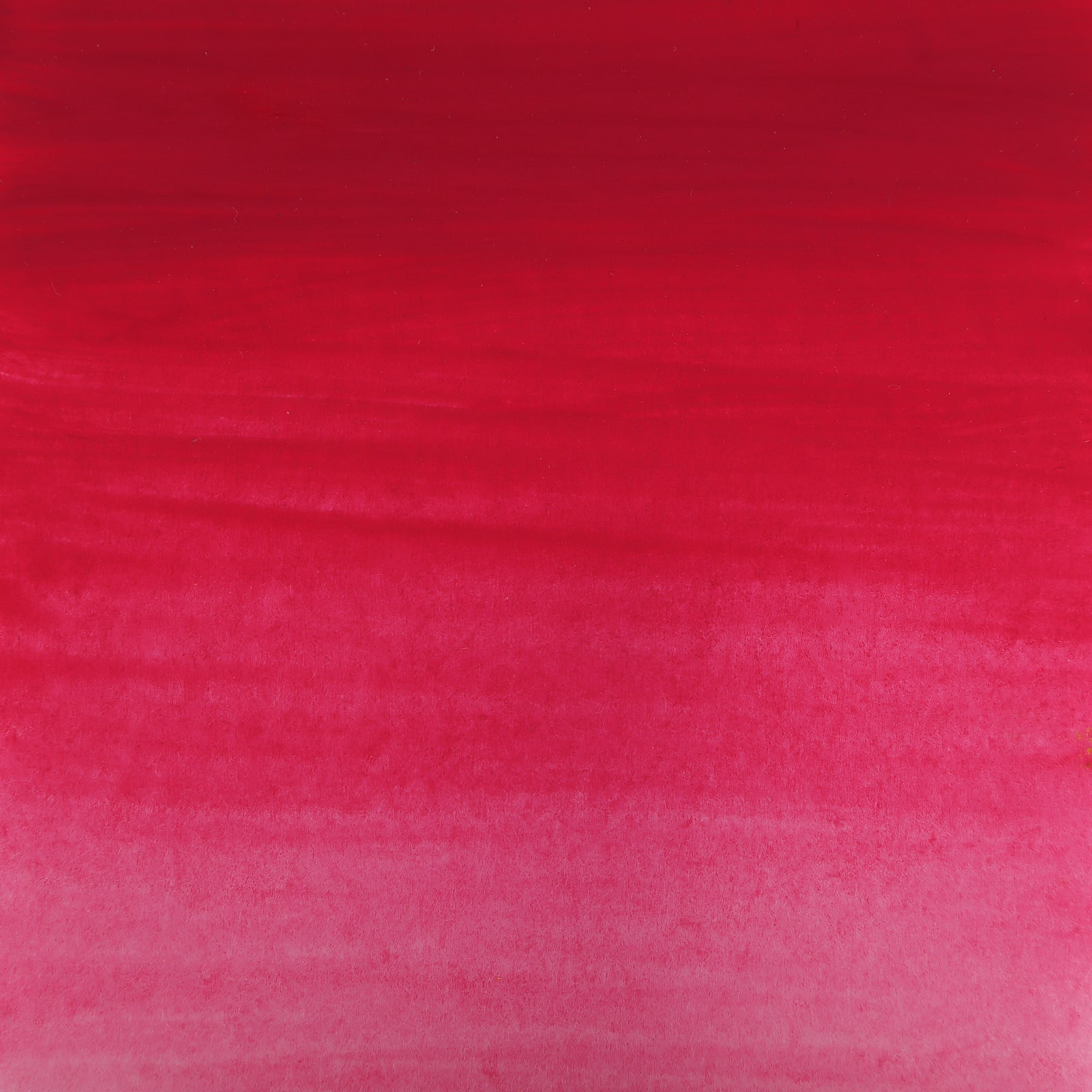 12 Pack: Watercolor Paint by Artist's Loft™, 0.4oz.