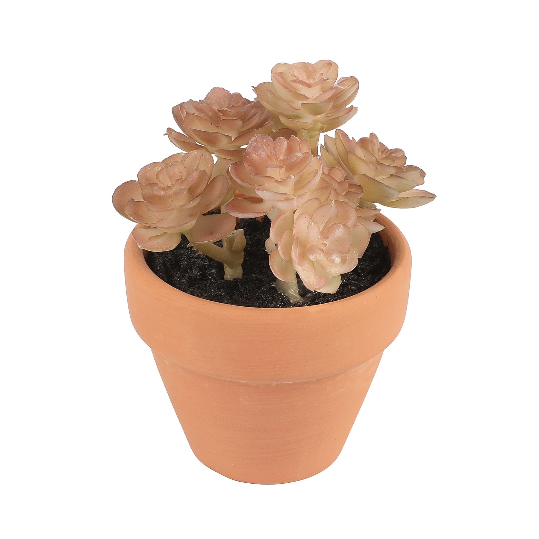 Mini Premade Succulents in Terra Cotta Pots, 6ct. by Ashland&#xAE;