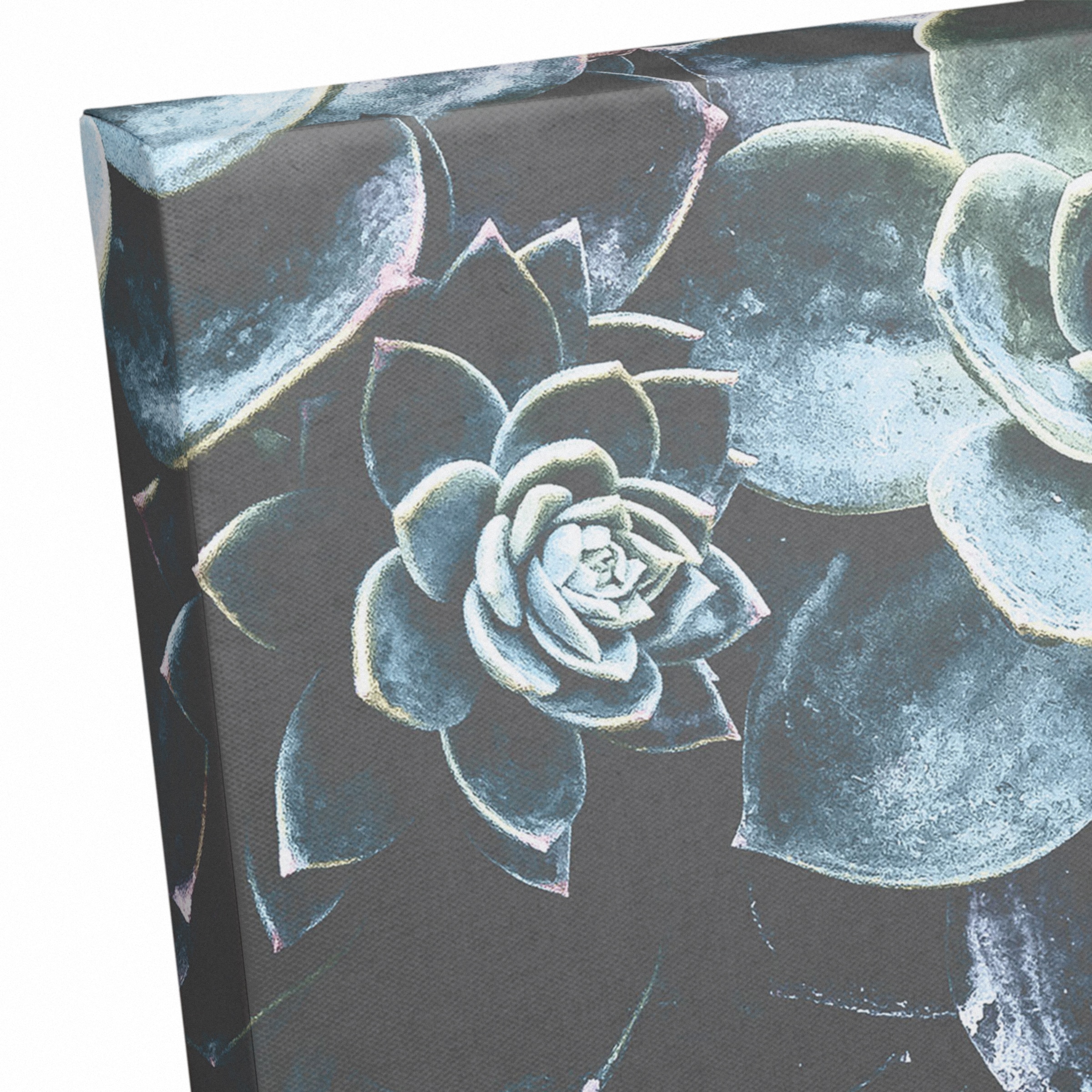 Grouping Of Succulents 20" x 16" Canvas Wall Art