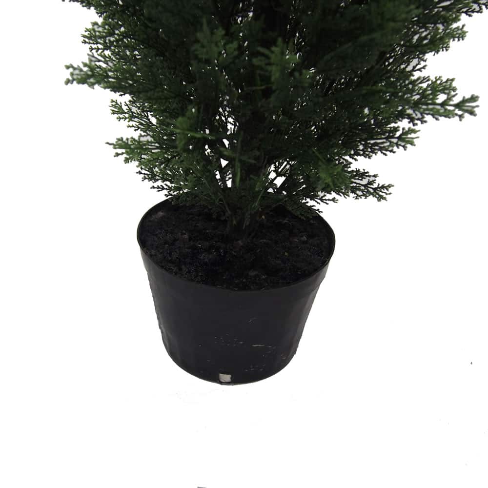 3ft. Potted Cedar Tree