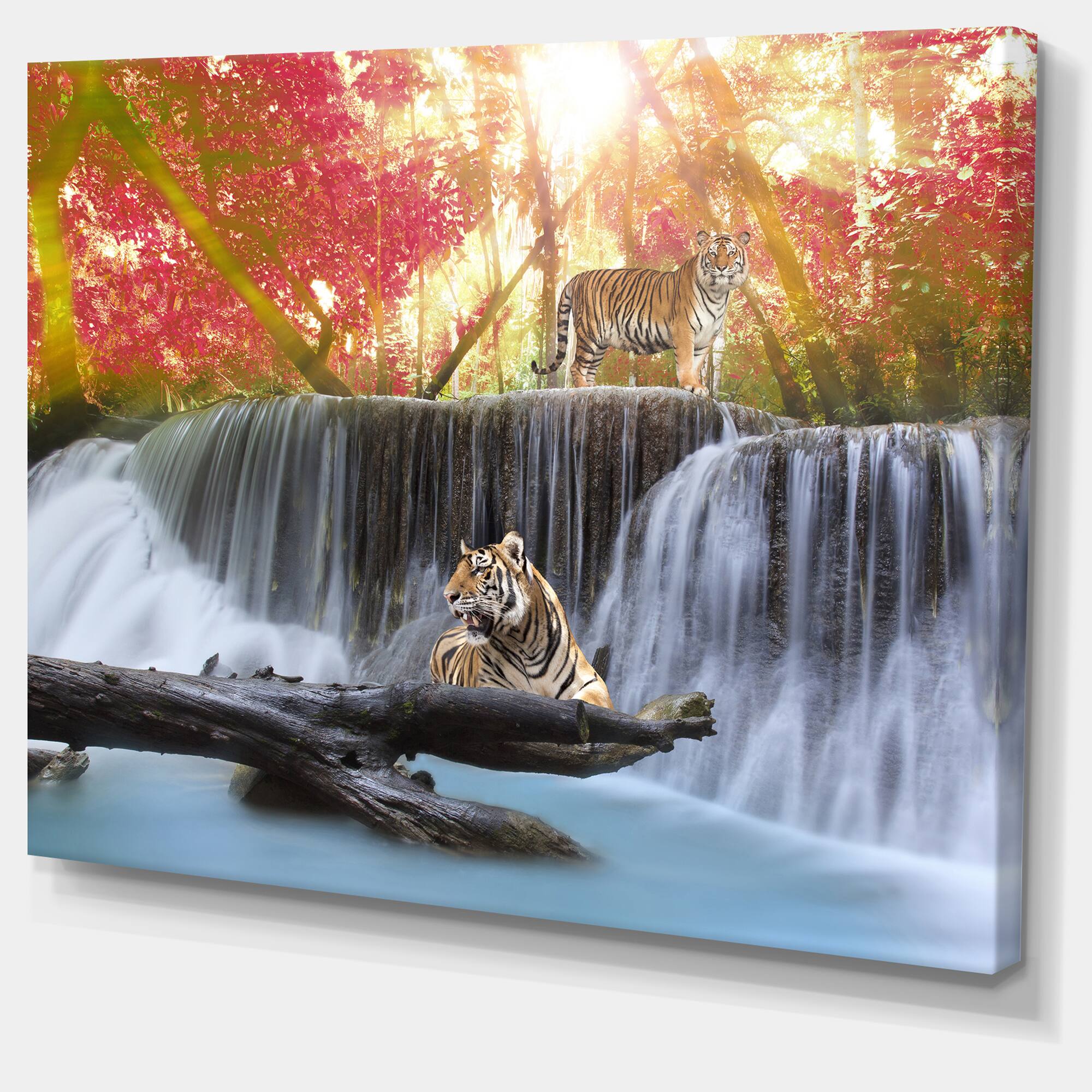 Designart - Tiger in the Jungle - Photography Canvas Art Print