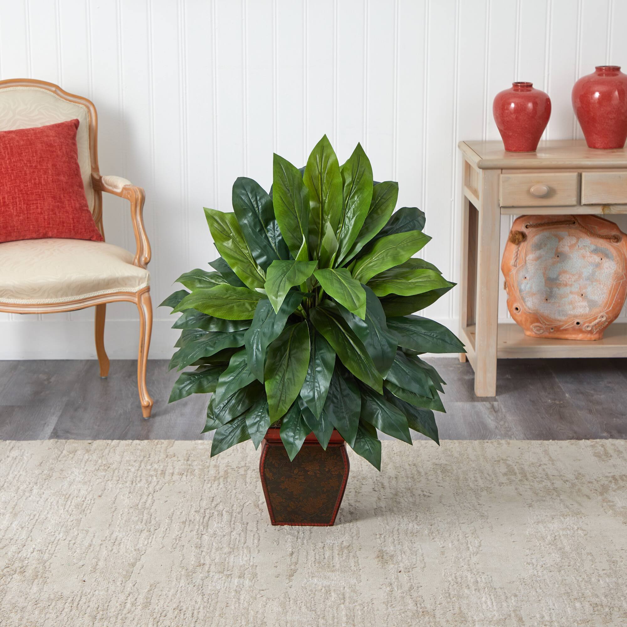 2.9ft. Cordyline Plant in Decorative Planter