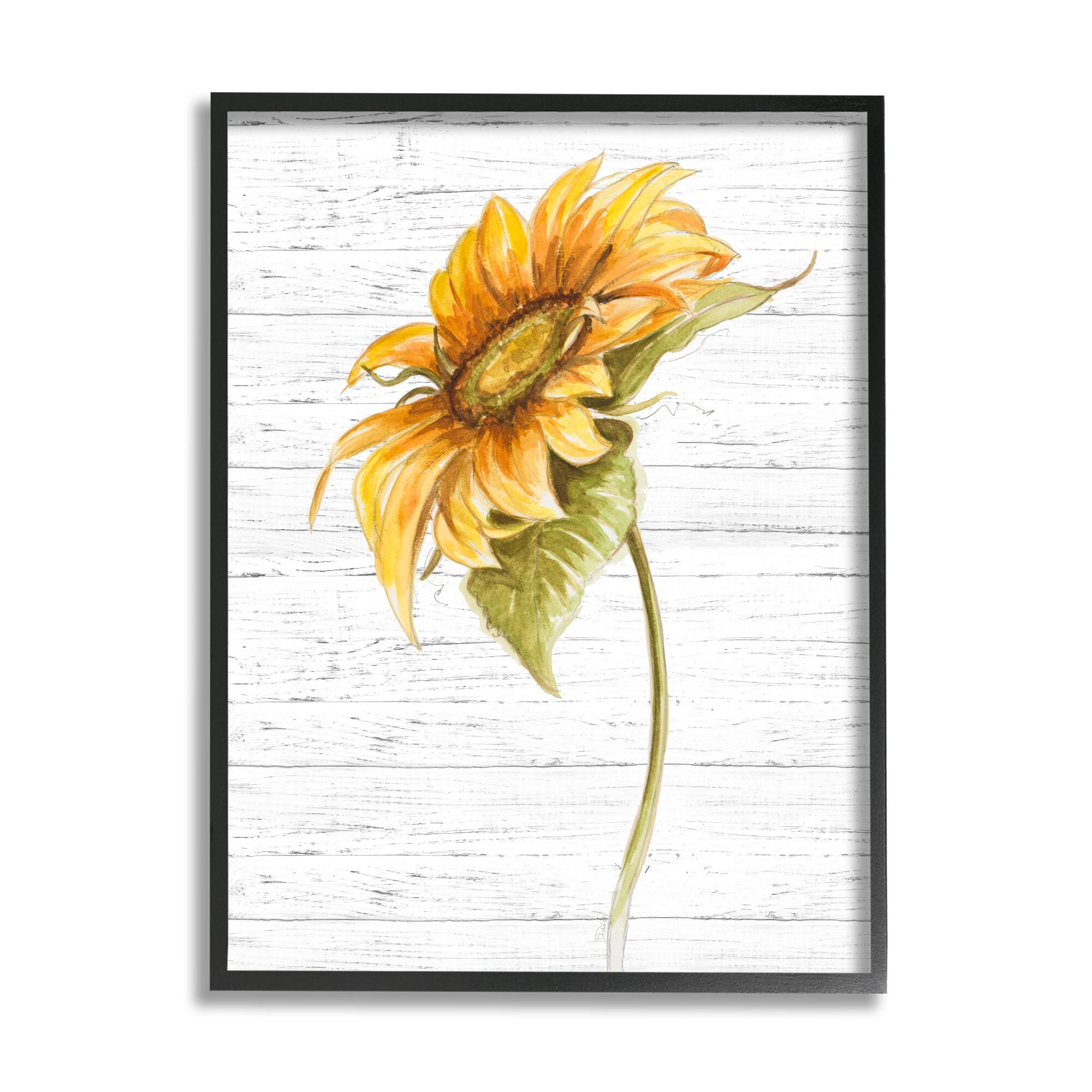 Stupell Industries Blooming Garden Sunflower Yellow Floral Country Pattern in Frame Wall Art
