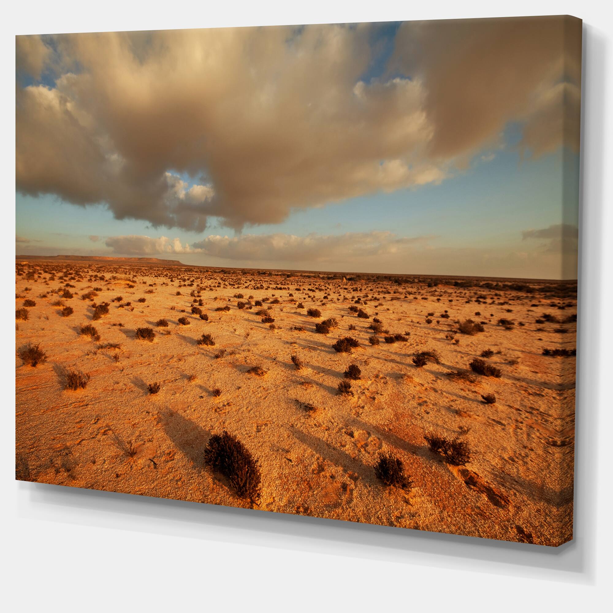 Designart - Desert in Western Sahara - Landscape Canvas Art Print